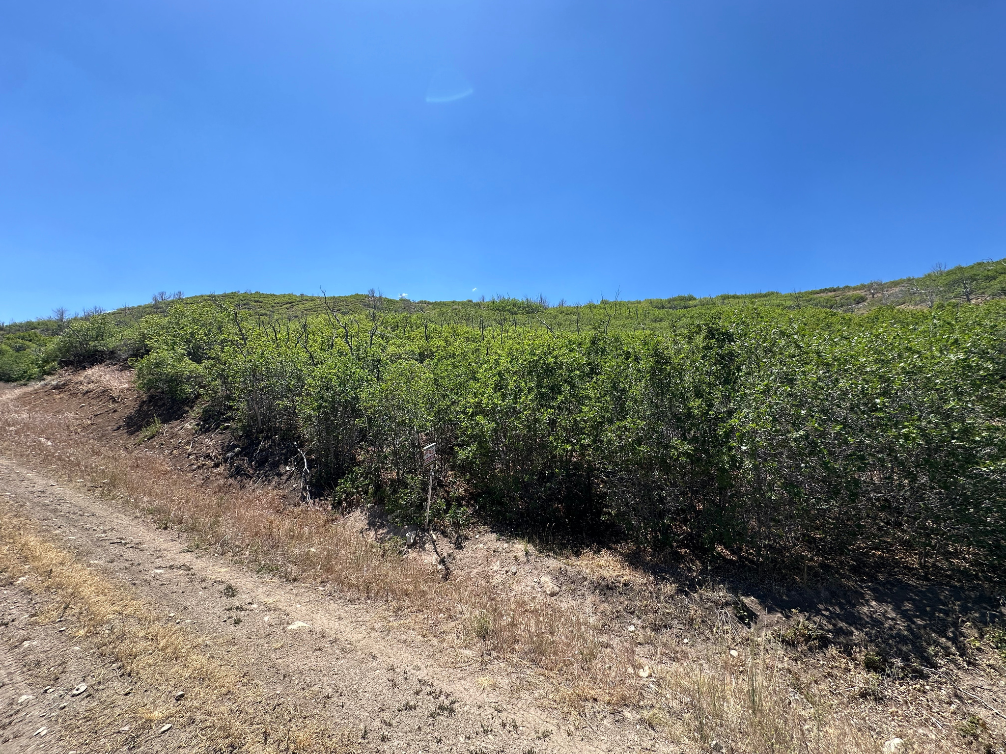 INDIAN RIDGE - Land
