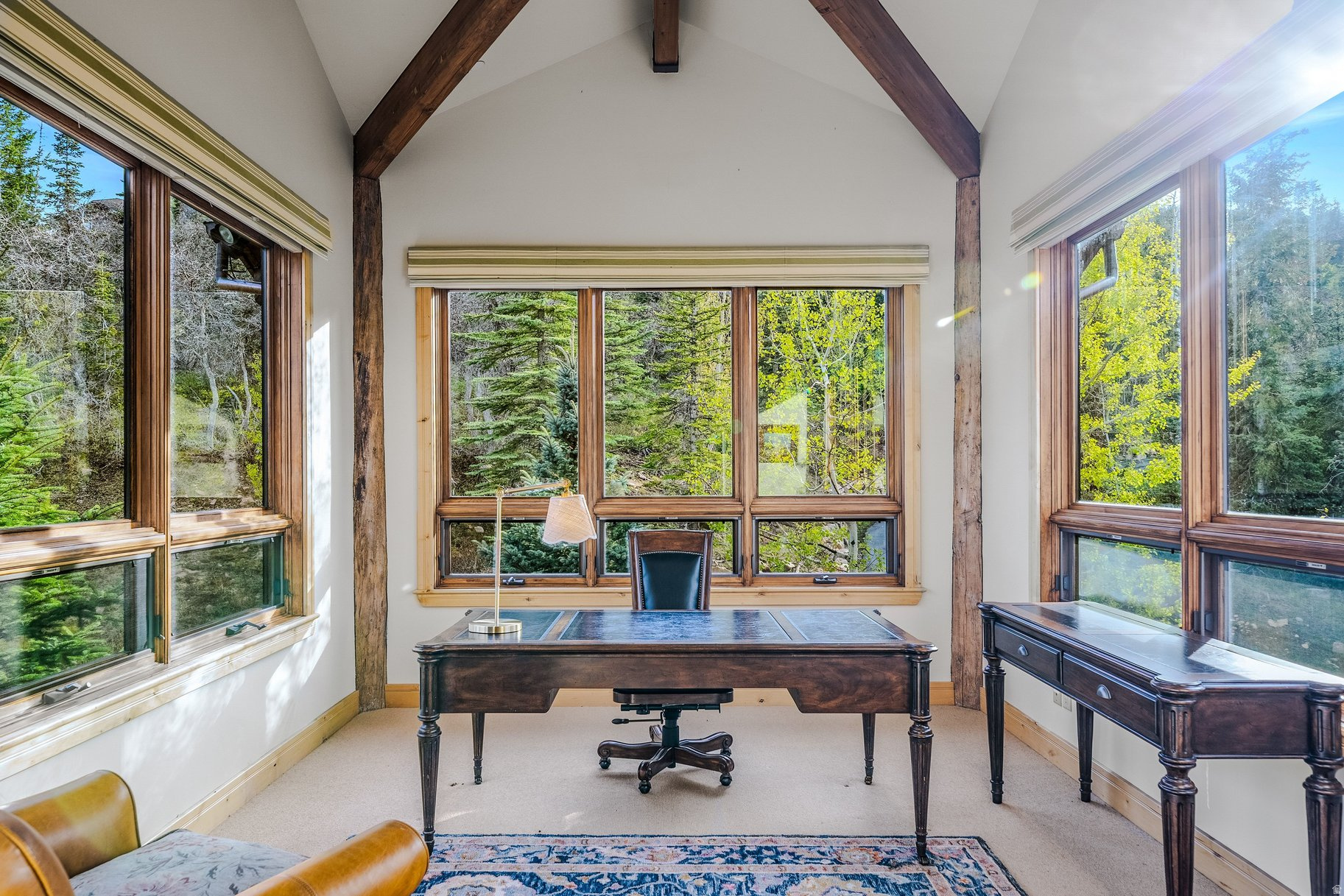 COLONY AT WHITE PINE CANYON - Residential