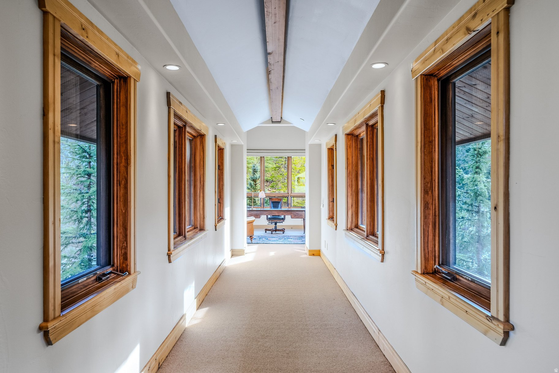COLONY AT WHITE PINE CANYON - Residential