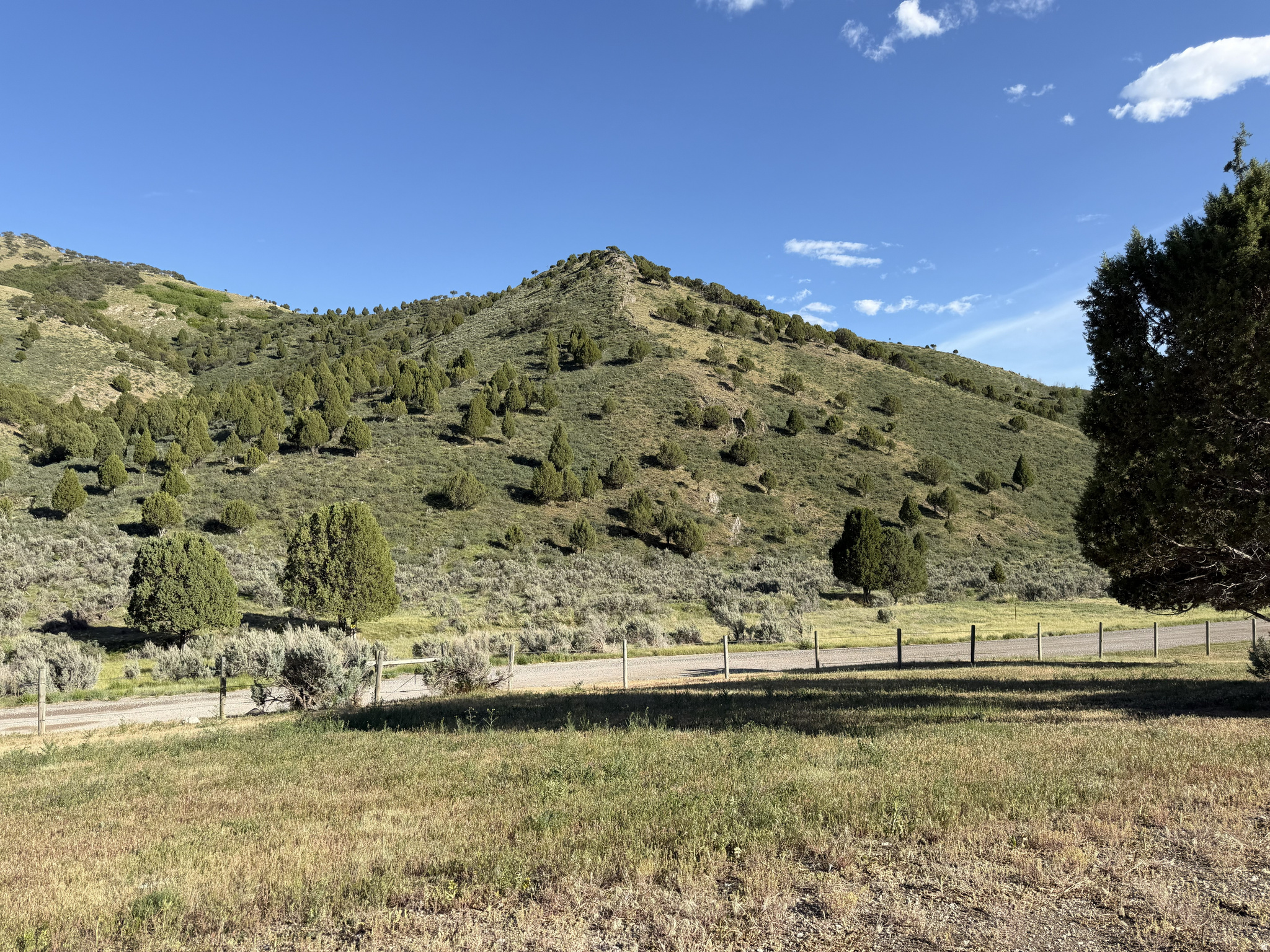 GREAT COLUMBIA - Land