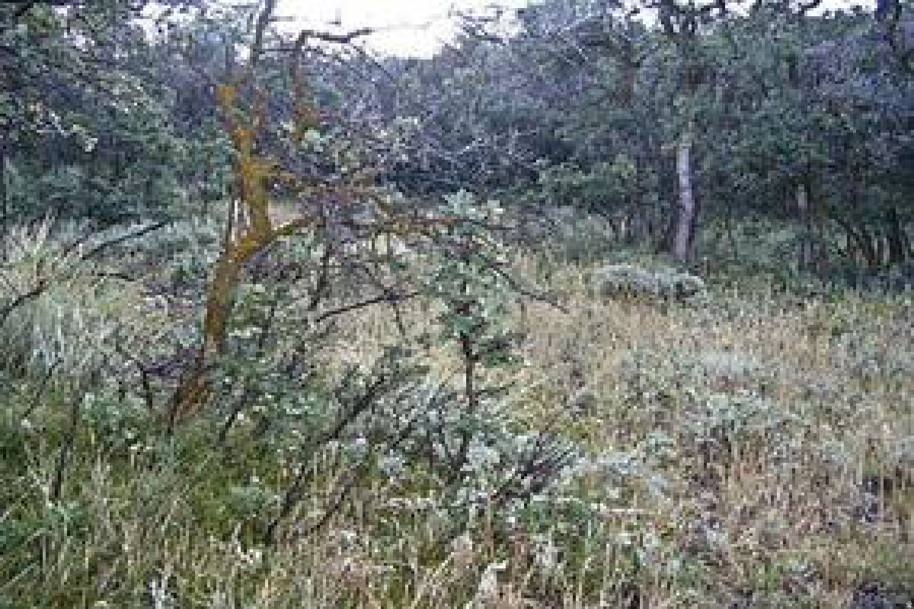 THE RANCHES AT THE PRESERVE - Land