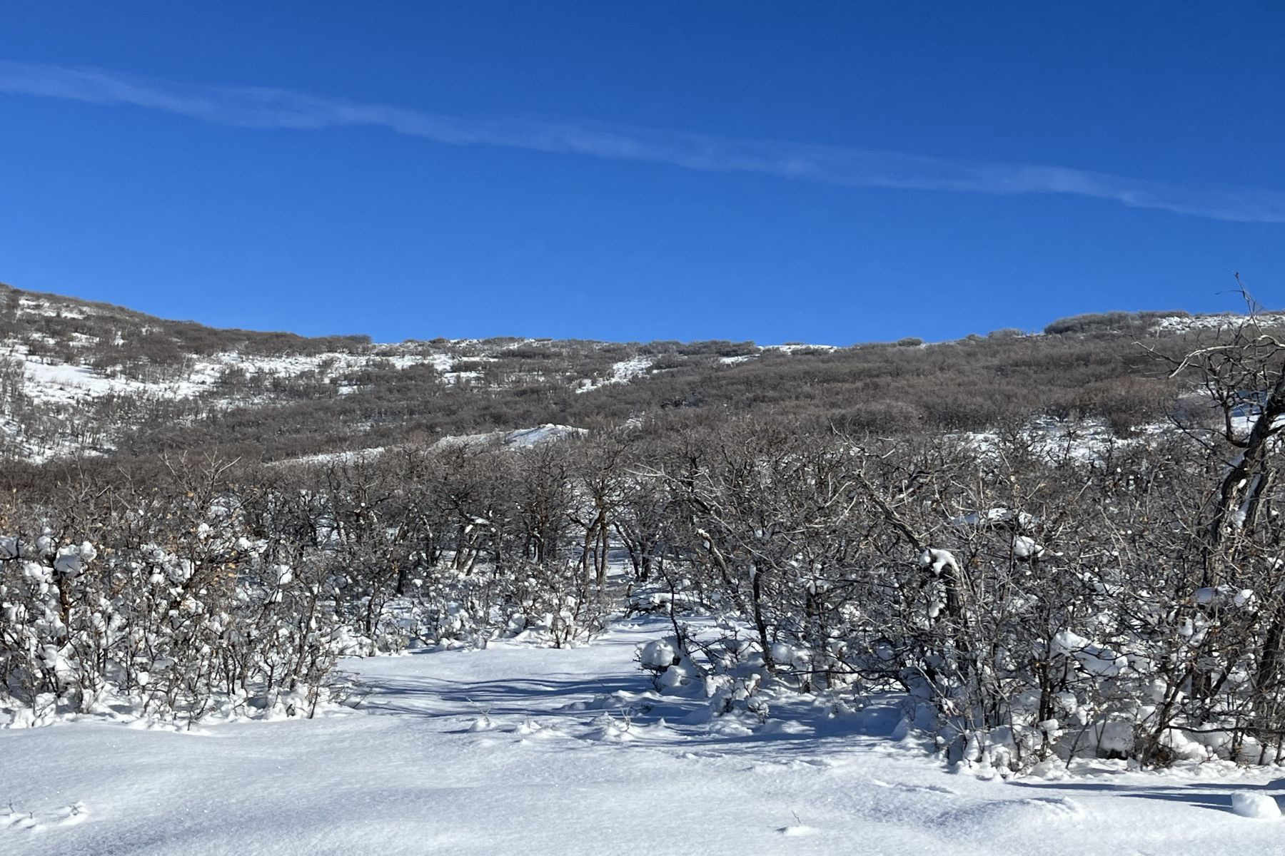 THE RANCHES AT THE PRESERVE - Land