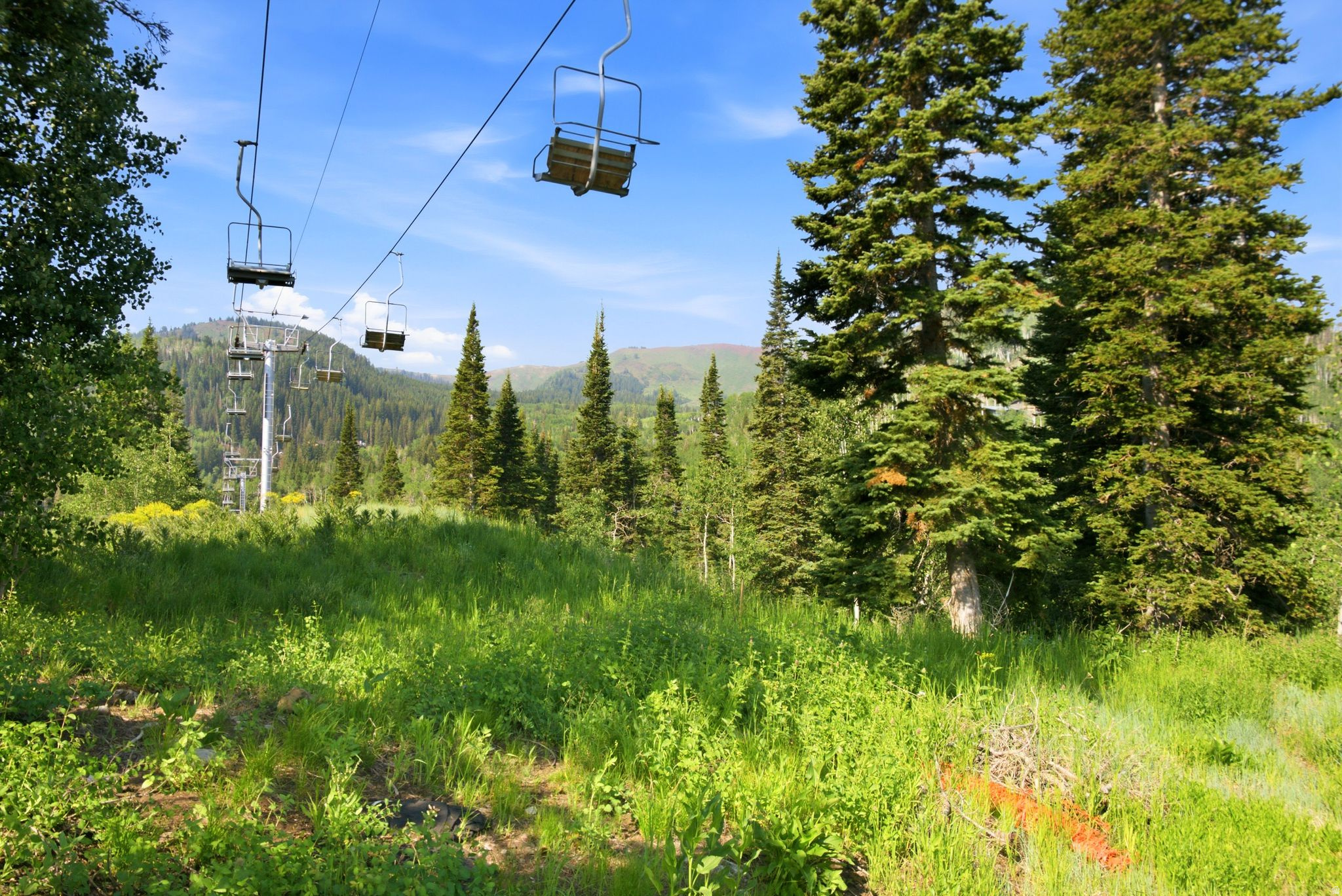 COLONY AT WHITE PINE CANYON - Land