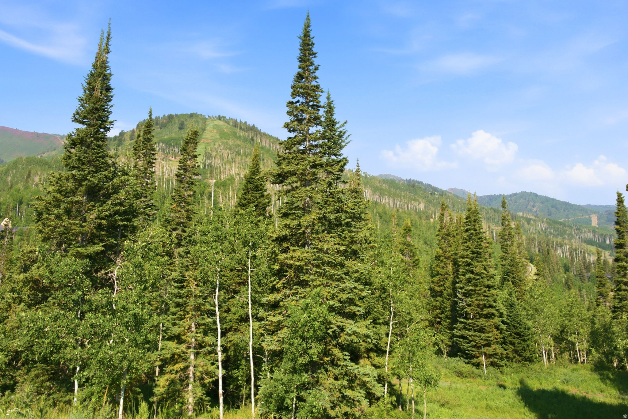 COLONY AT WHITE PINE CANYON - Land