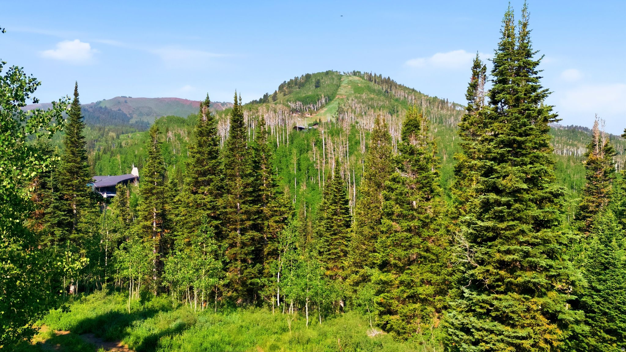 COLONY AT WHITE PINE CANYON - Land