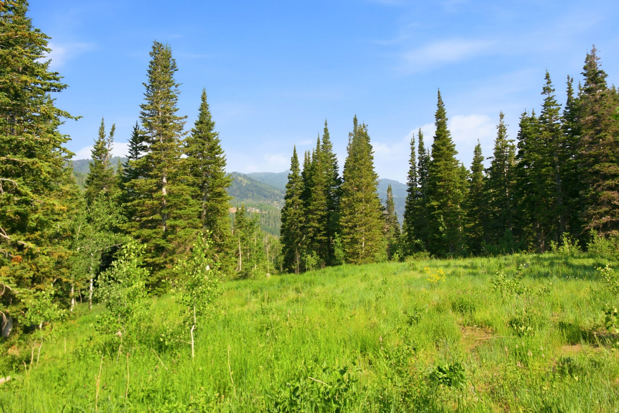 COLONY AT WHITE PINE CANYON - Land