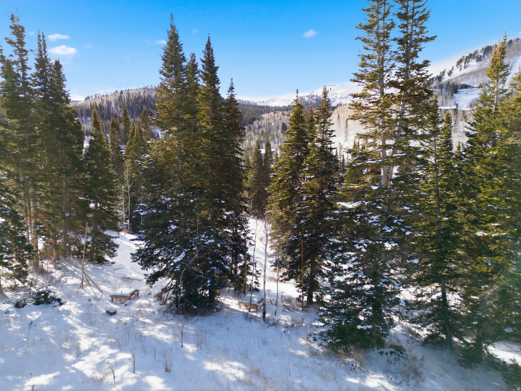 COLONY AT WHITE PINE CANYON - Land