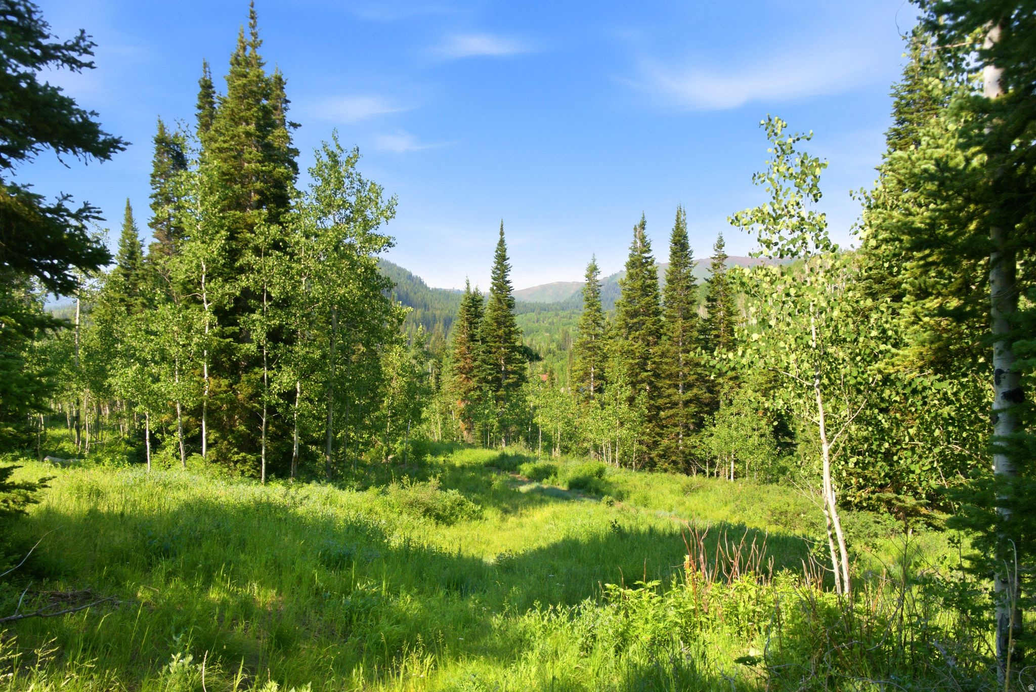 COLONY AT WHITE PINE CANYON - Land