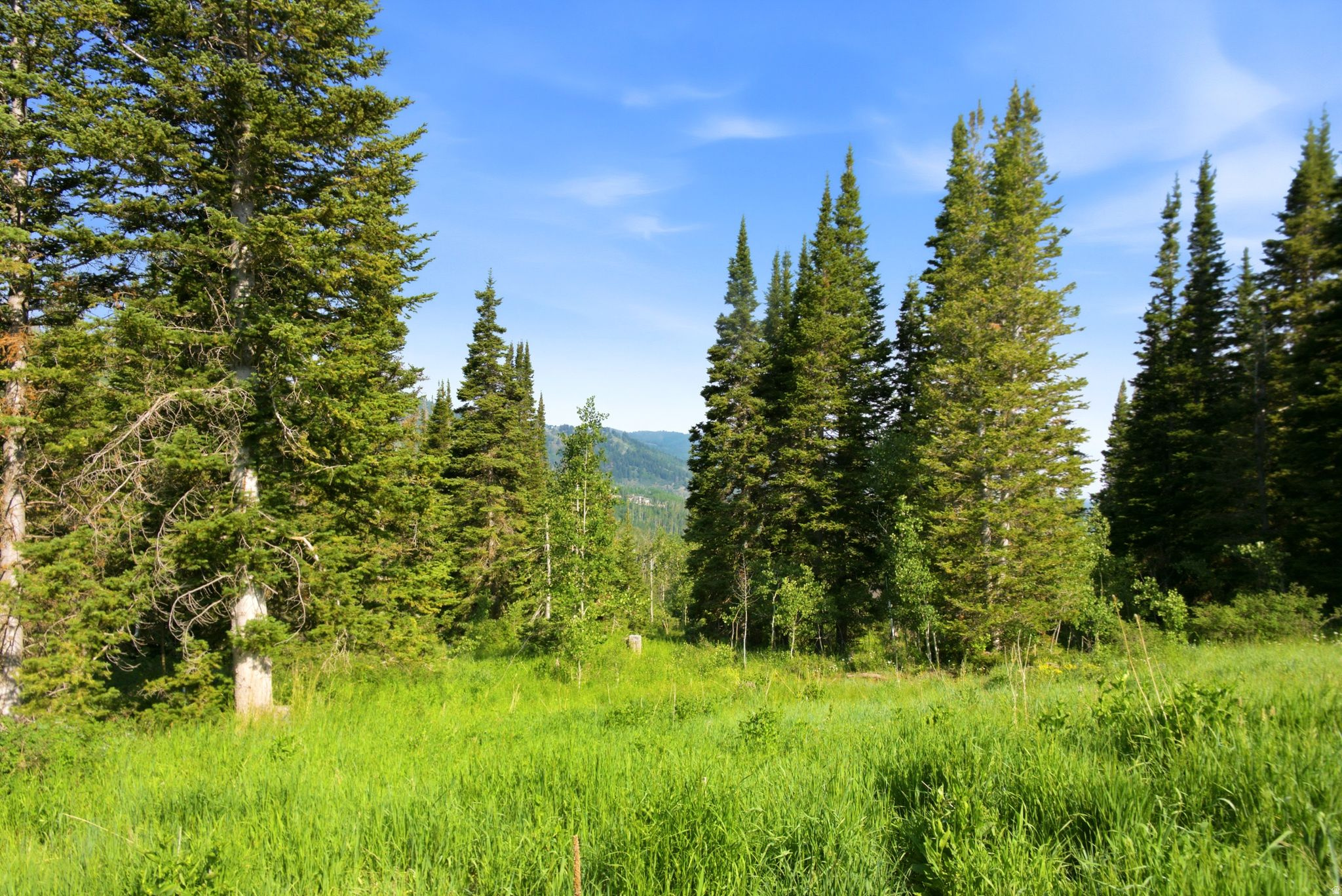 COLONY AT WHITE PINE CANYON - Land