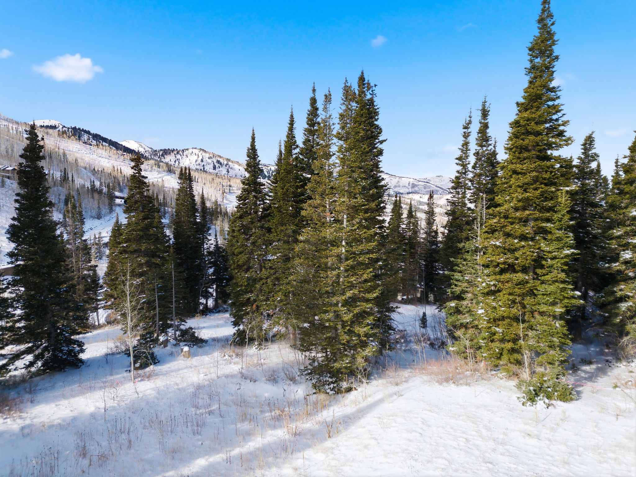 COLONY AT WHITE PINE CANYON - Land