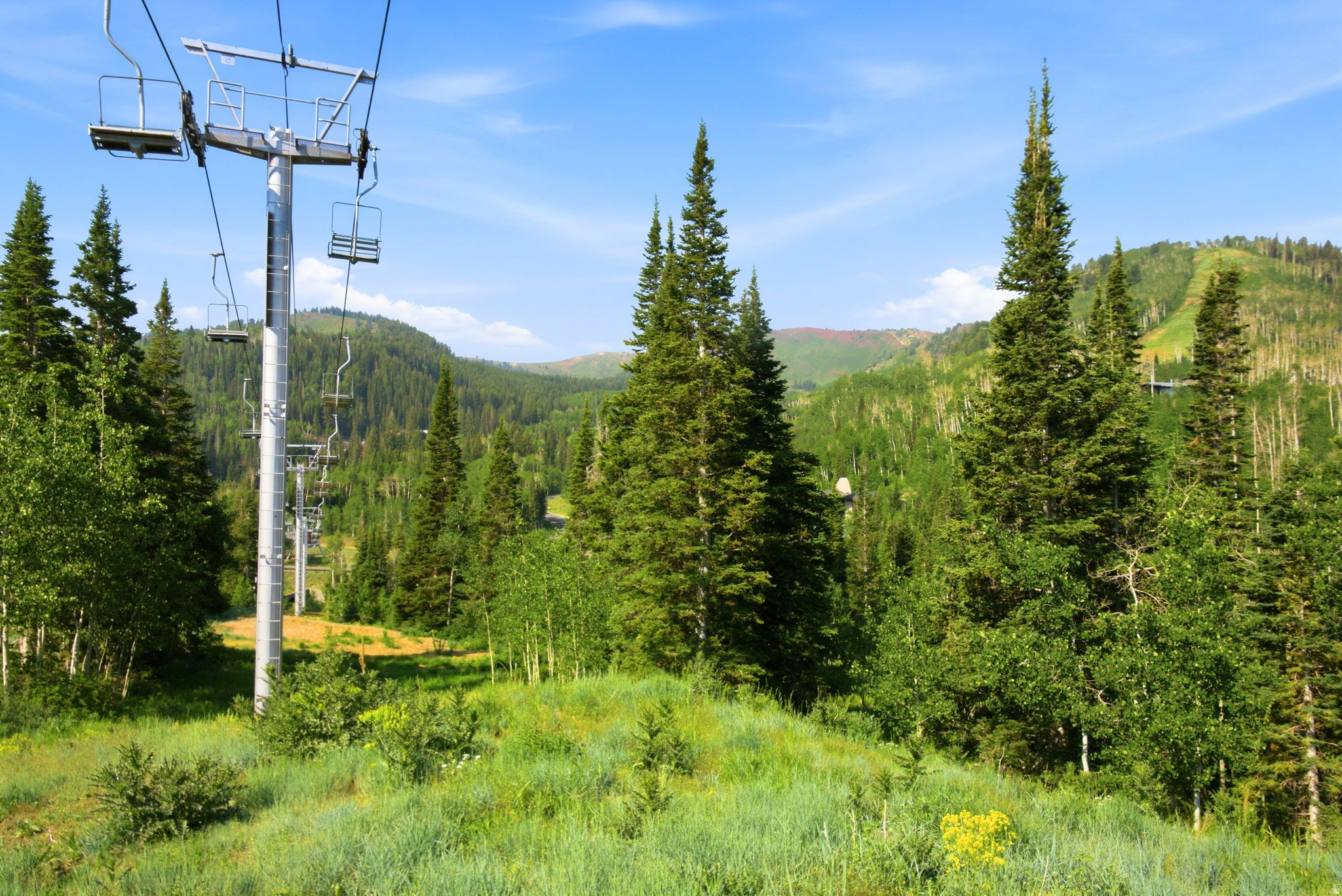 COLONY AT WHITE PINE CANYON - Land