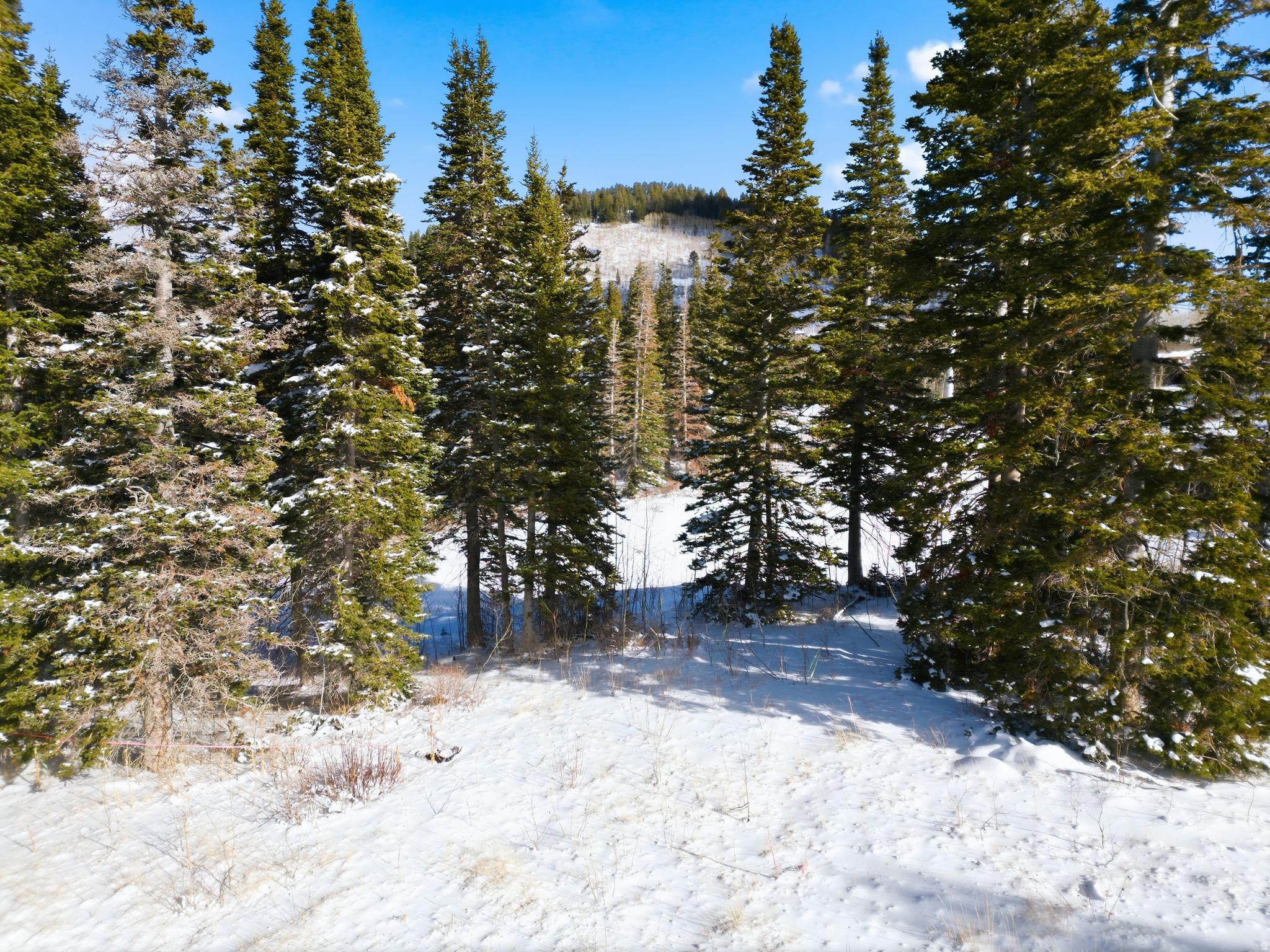 COLONY AT WHITE PINE CANYON - Land