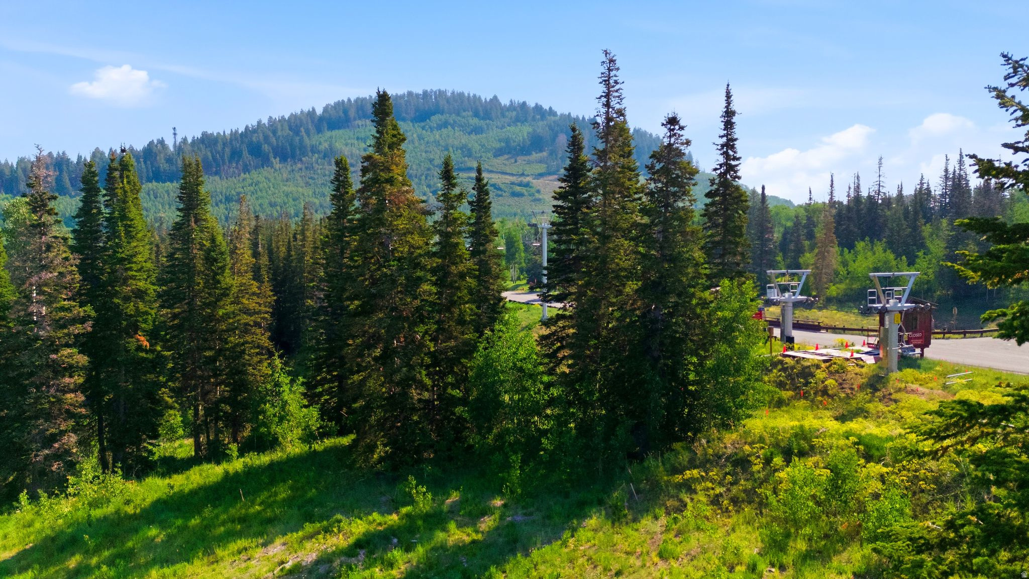 COLONY AT WHITE PINE CANYON - Land