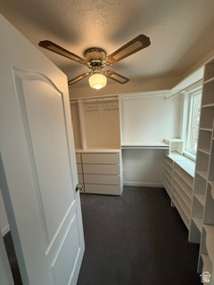 JOHNSONS - Residential