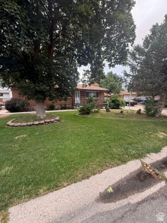 JOHNSONS - Residential