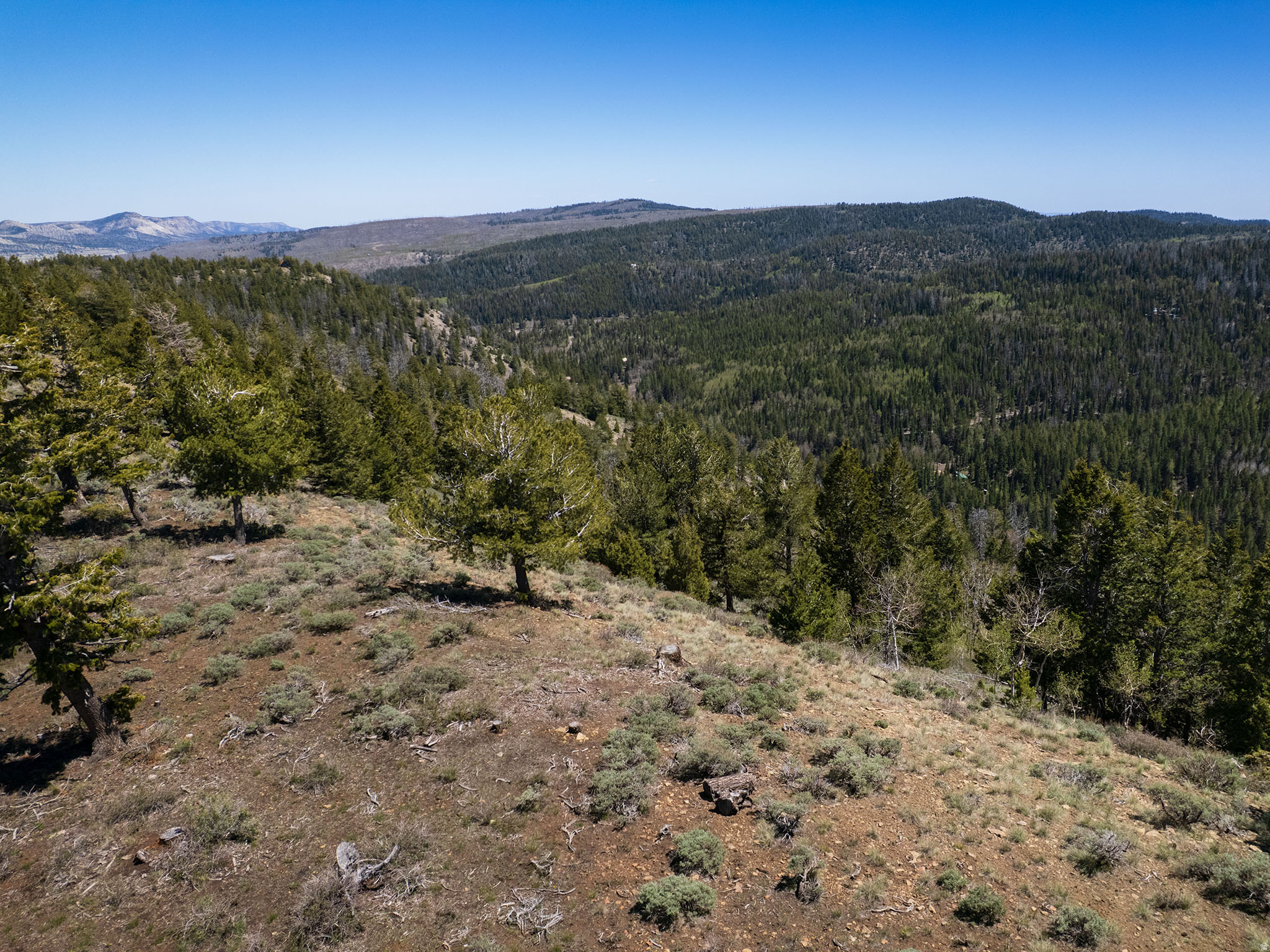 ARGYLE CANYON - Land