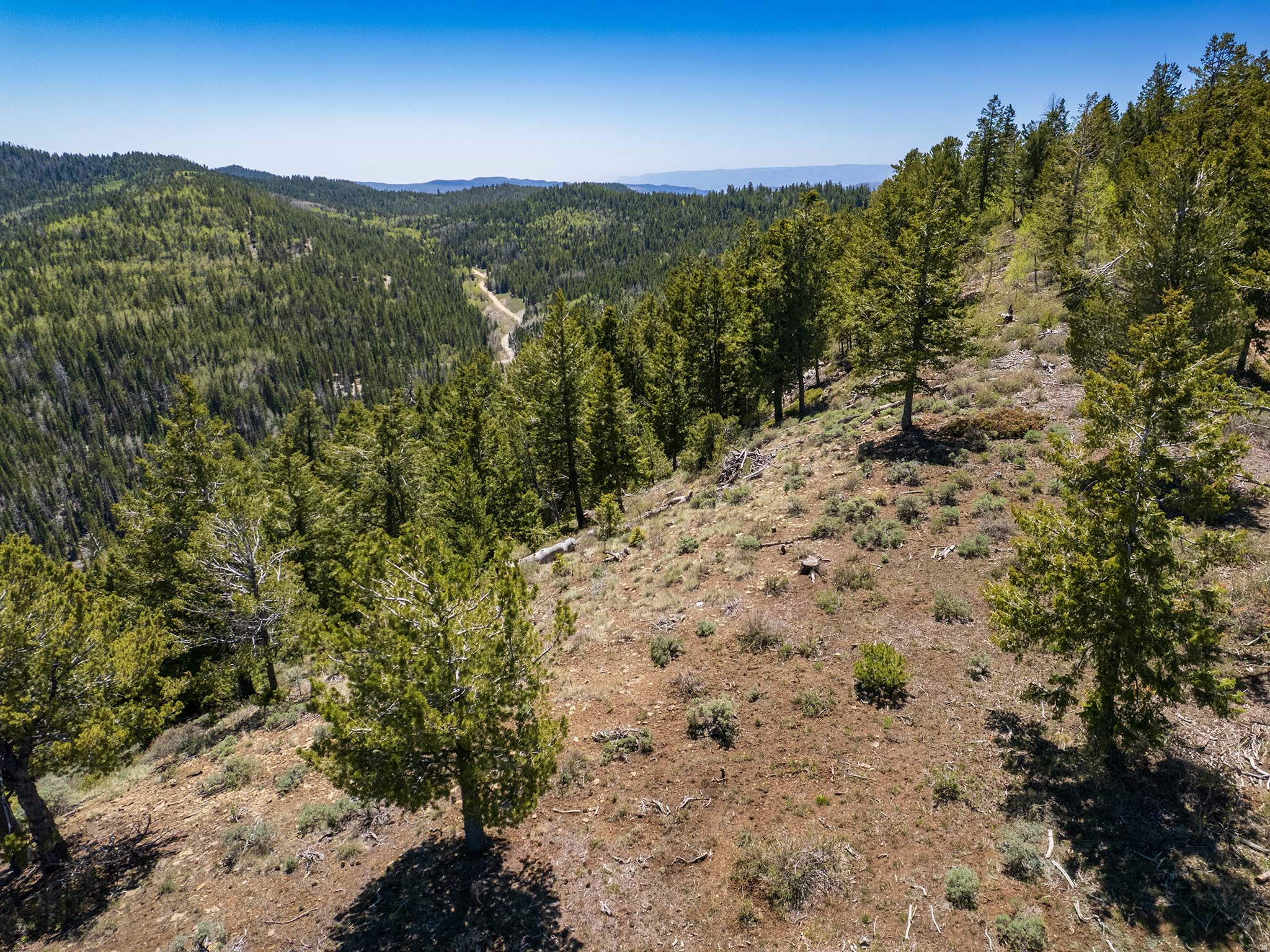ARGYLE CANYON - Land
