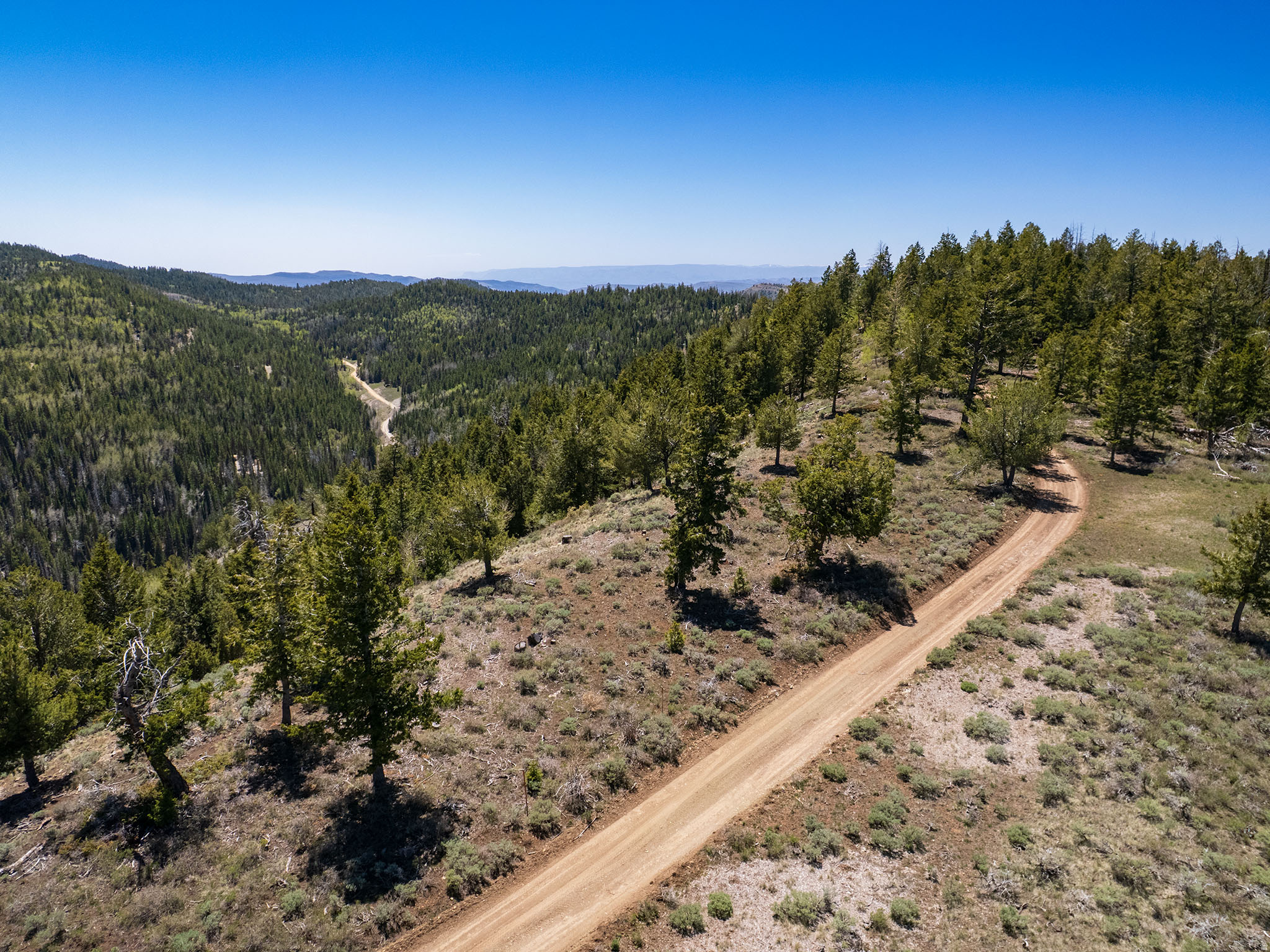 10 secluded, buildable acres up Argyle Canyon. Beautiful views with ultimate privacy!  Build a cabin for your quick weekend getaways or a fully off grid dream home and wake up surrounded by nature.  Seasonal creek nearby.  Buyer responsible for installing septic, drilling well, and bringing in electric or solar.  Property elevation approximately 9000'.  Lot is zoned A-10.  Measurements and lot details provided as courtesy. Buyer to confirm all data. Agents: read agent remarks.