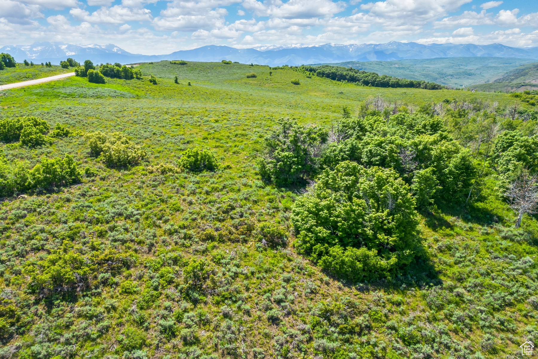 WOLF CREEK RANCH - Land
