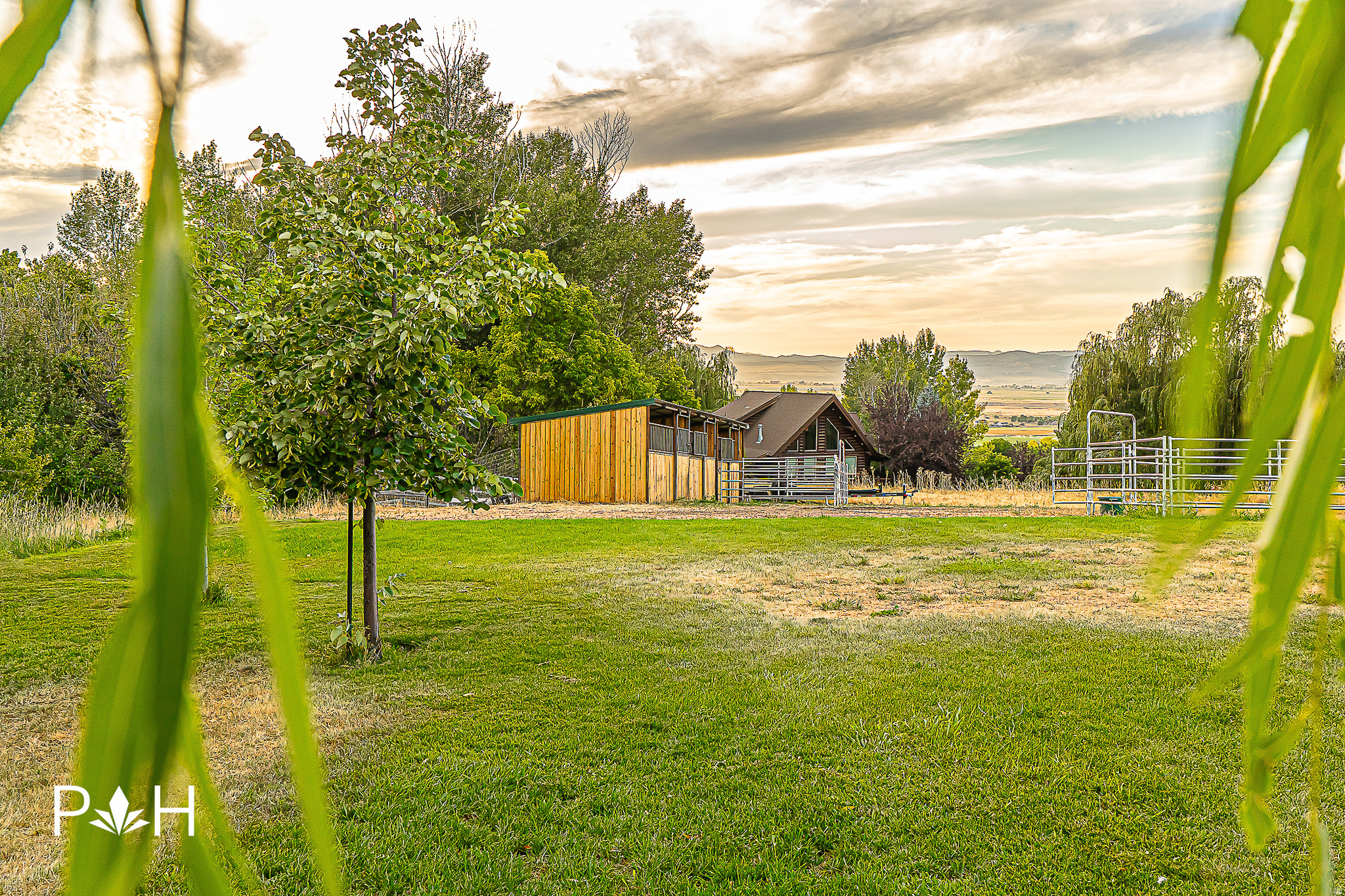 NEBO CREEK ESTATES - Residential