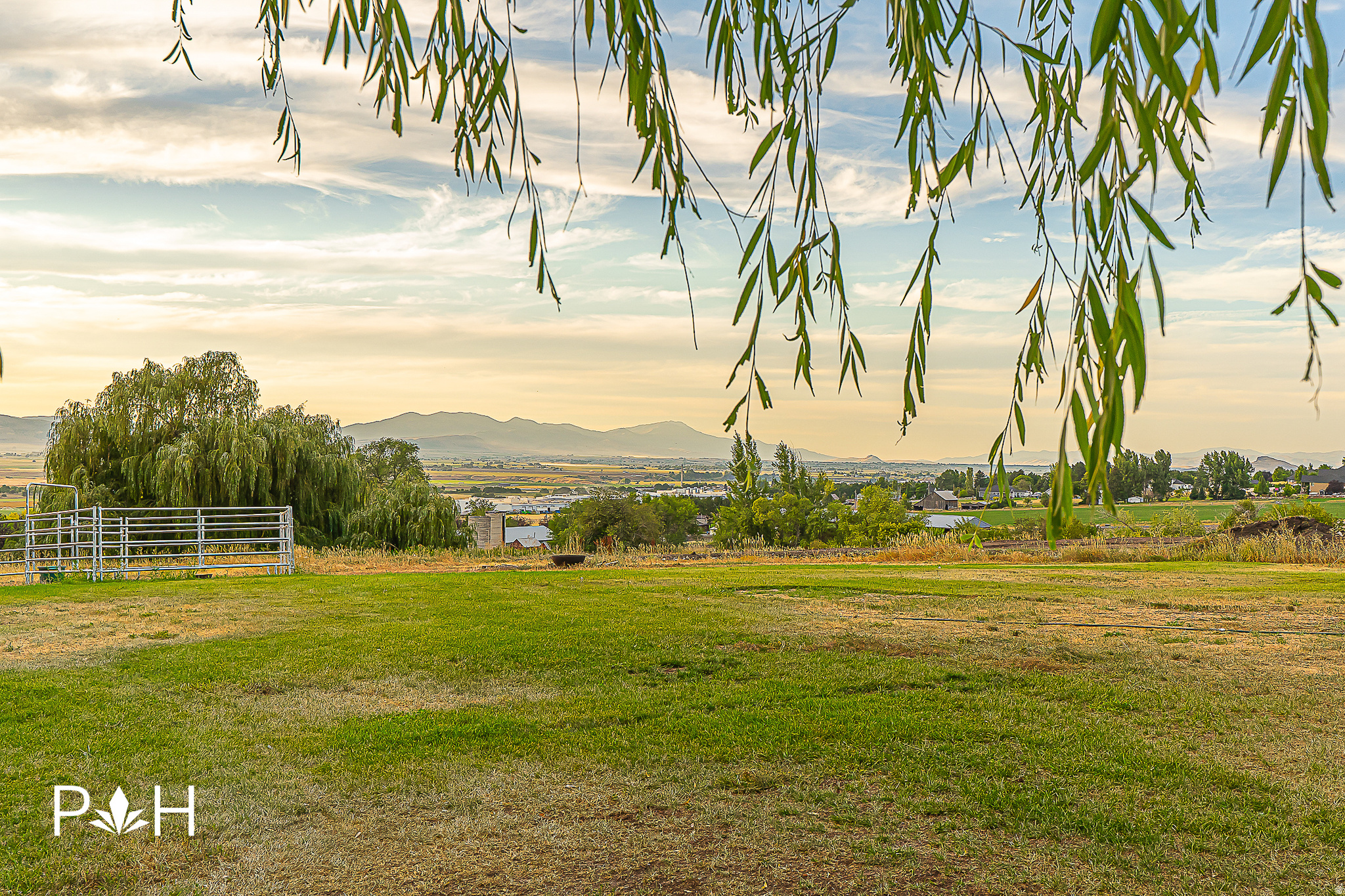 NEBO CREEK ESTATES - Residential