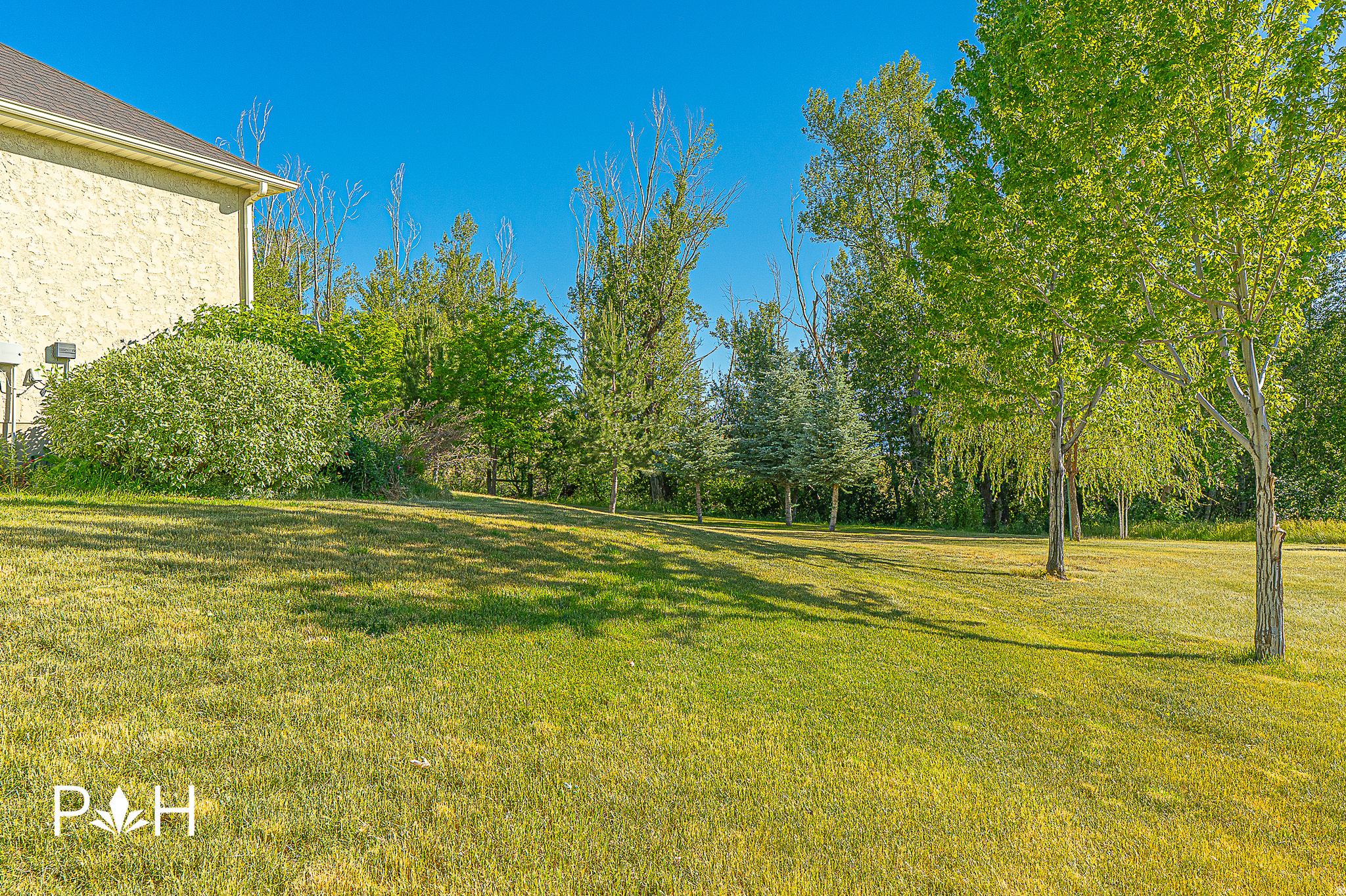 NEBO CREEK ESTATES - Residential
