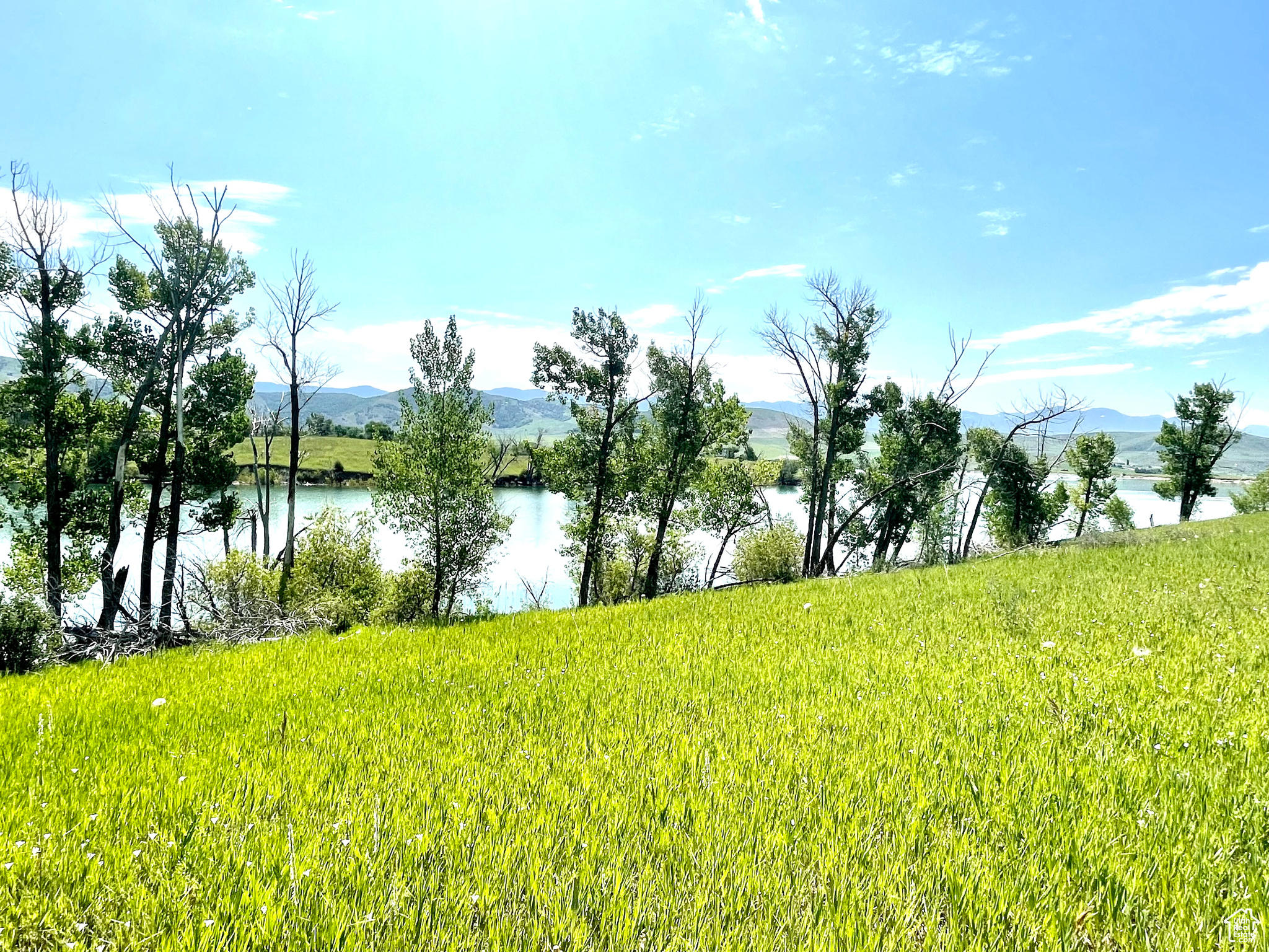 COTTONWOOD ESTATES SUBDIVISION - Land