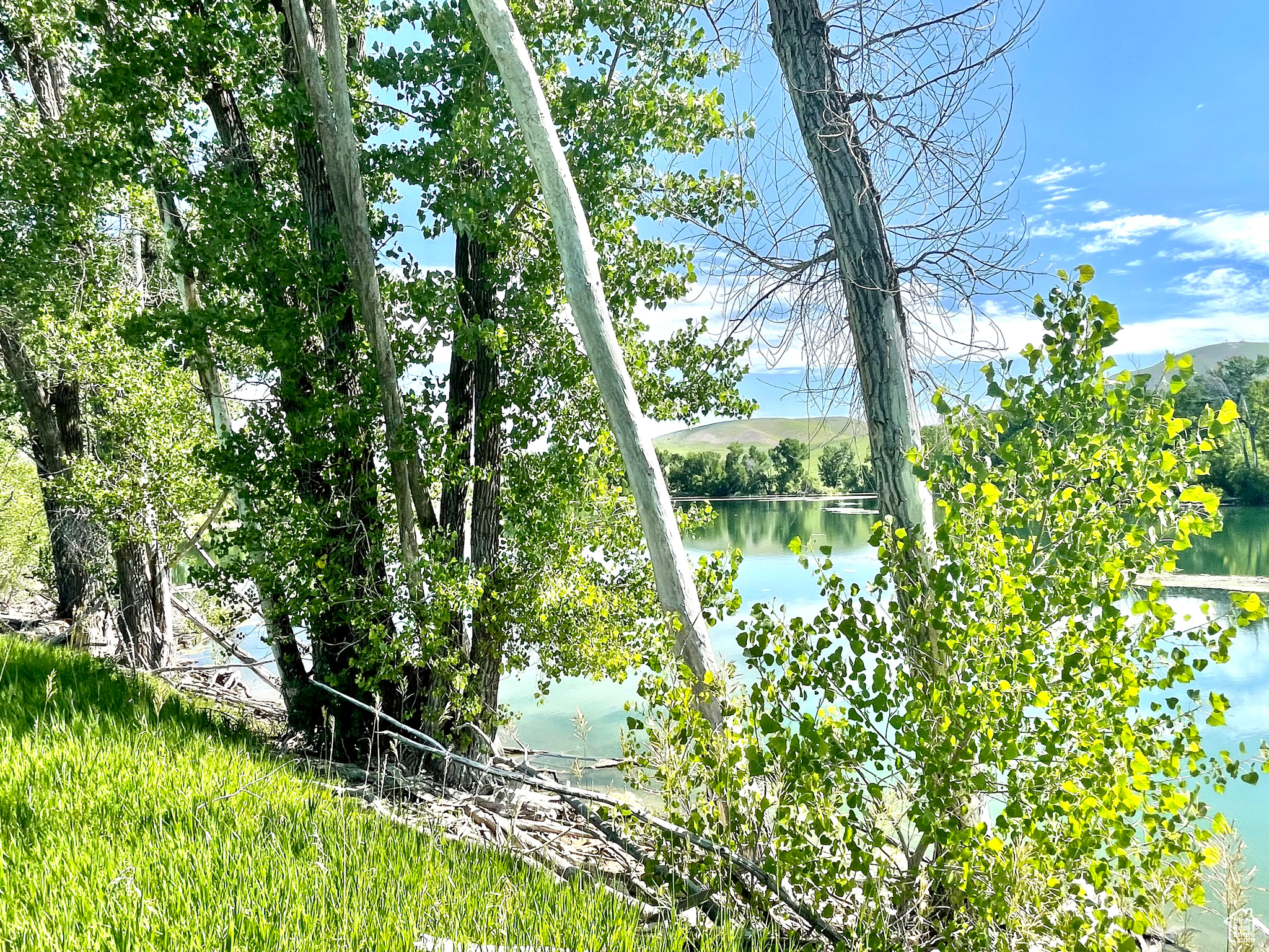 COTTONWOOD ESTATES SUBDIVISION - Land