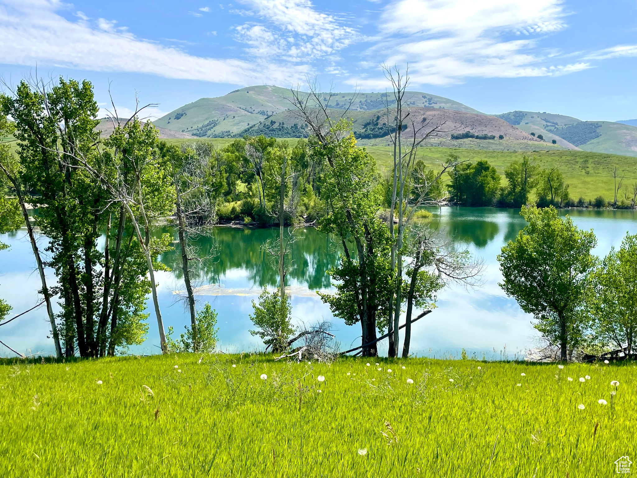 COTTONWOOD ESTATES SUBDIVISION - Land