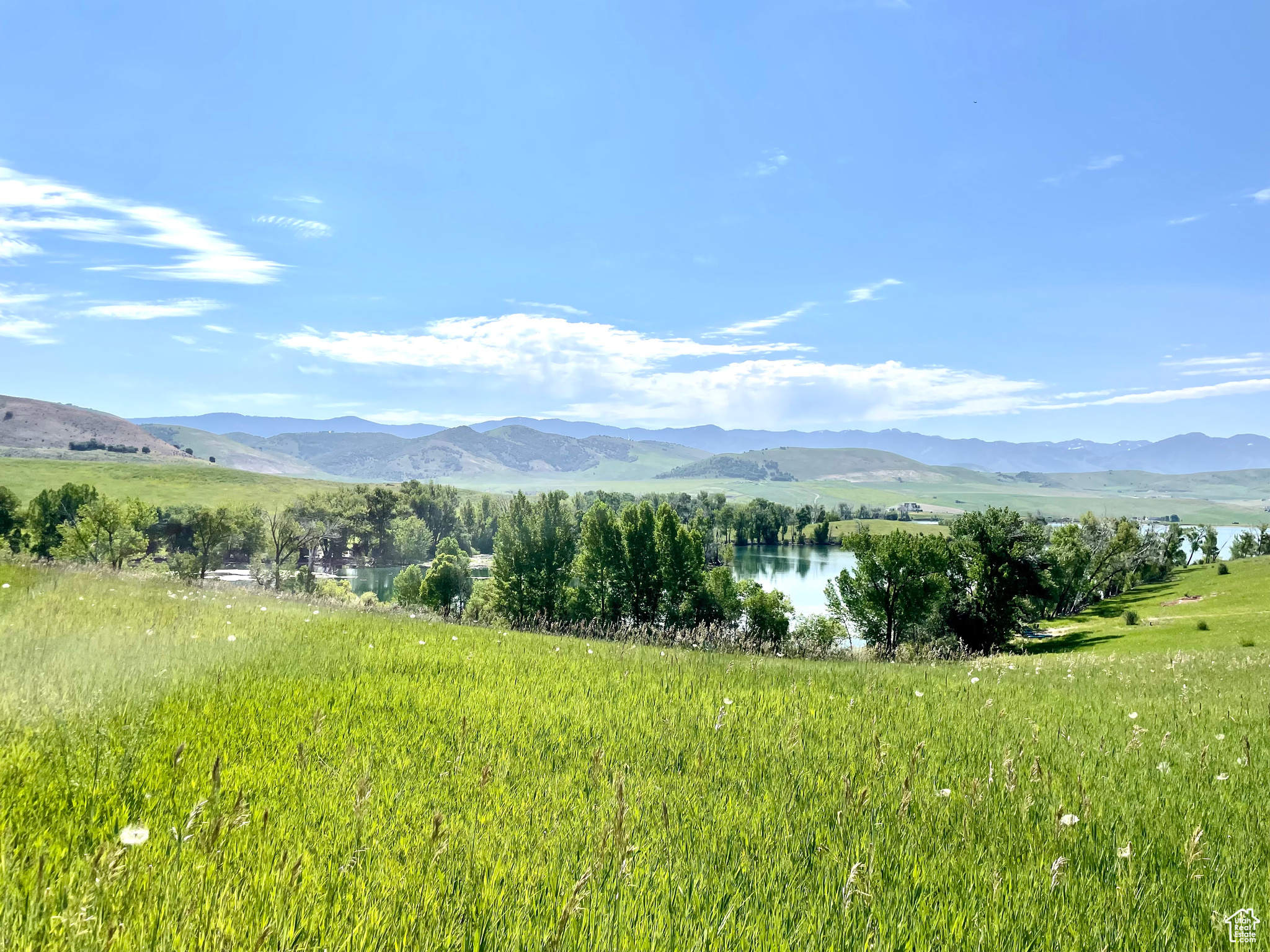COTTONWOOD ESTATES SUBDIVISION - Land