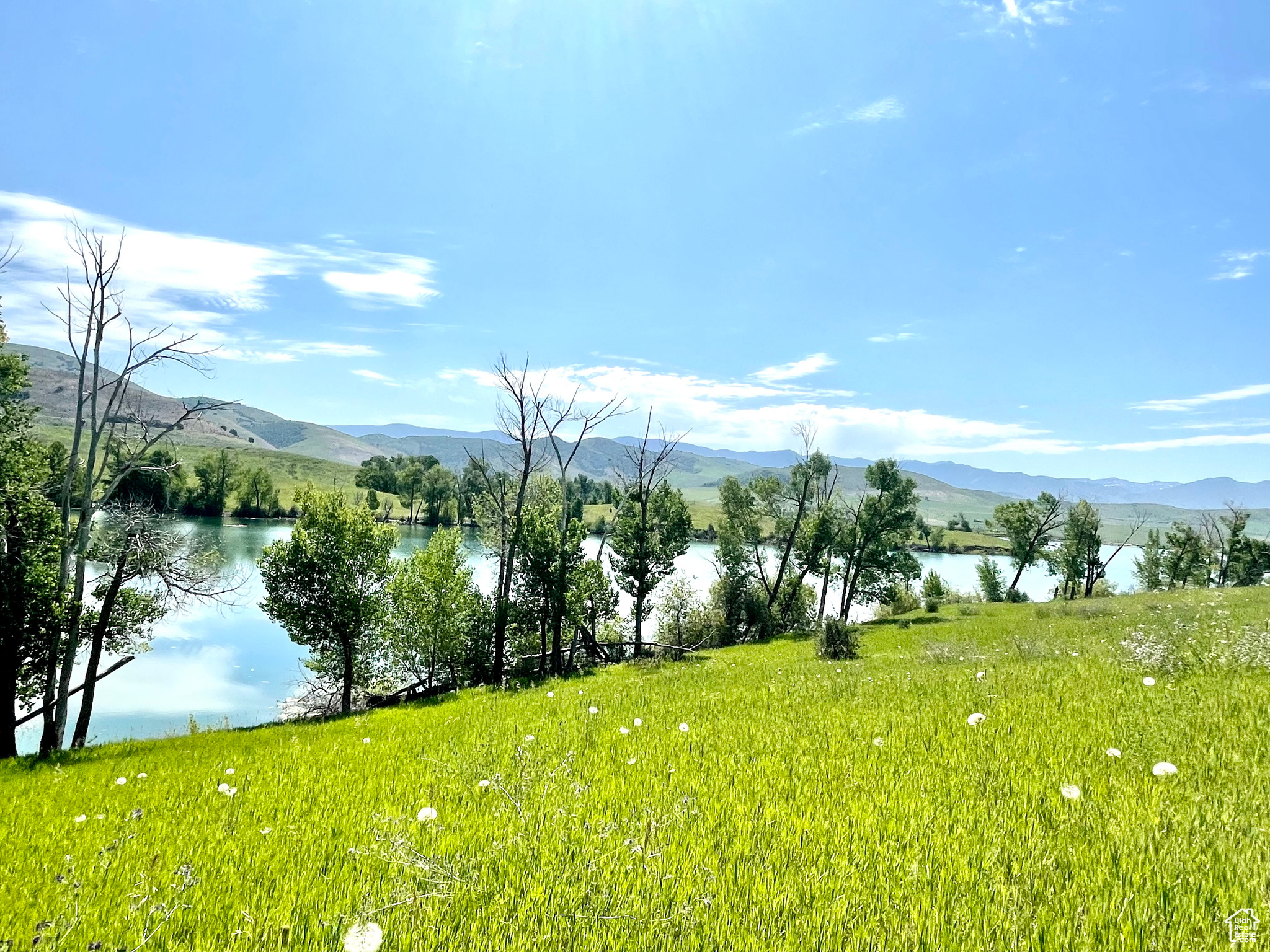COTTONWOOD ESTATES SUBDIVISION - Land