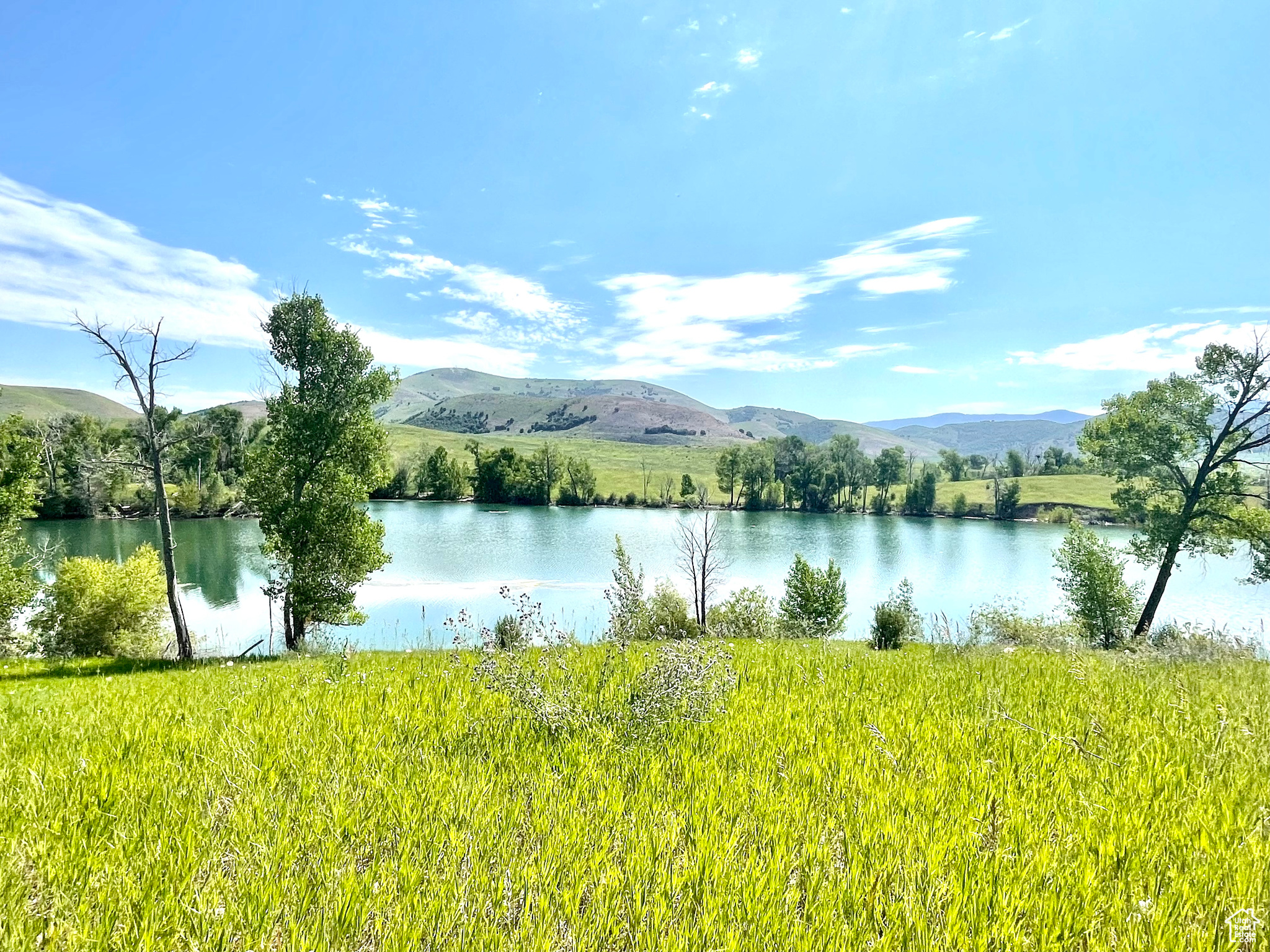 COTTONWOOD ESTATES SUBDIVISION - Land