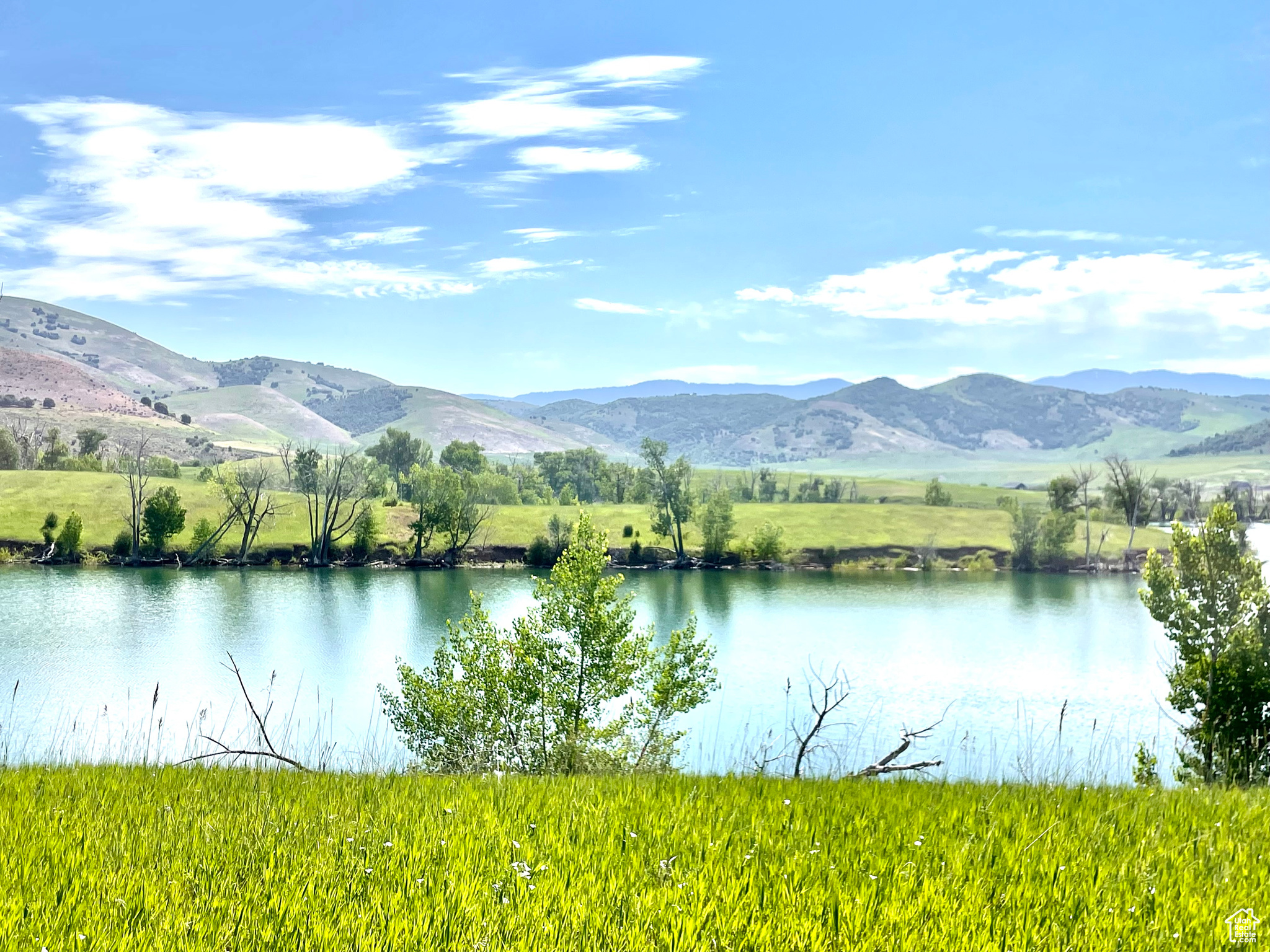 COTTONWOOD ESTATES SUBDIVISION - Land