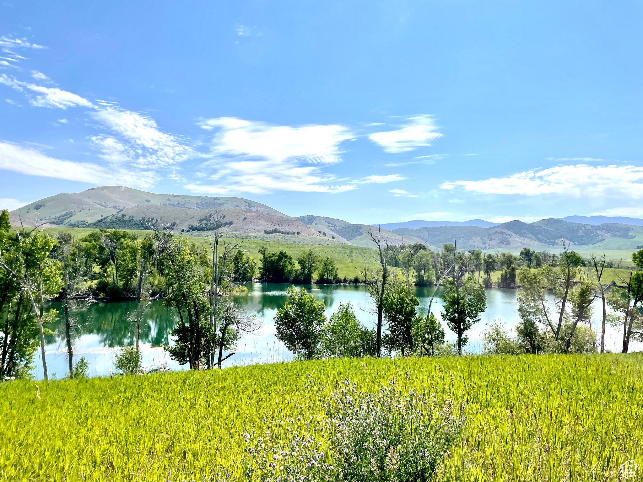 COTTONWOOD ESTATES SUBDIVISION - Land