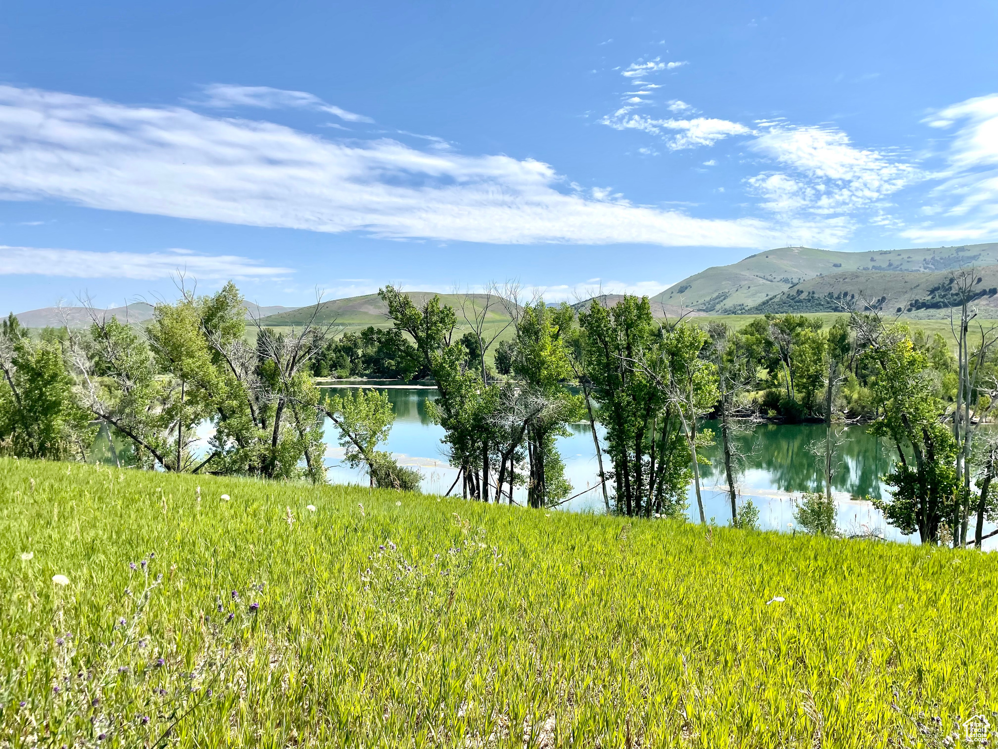 COTTONWOOD ESTATES SUBDIVISION - Land