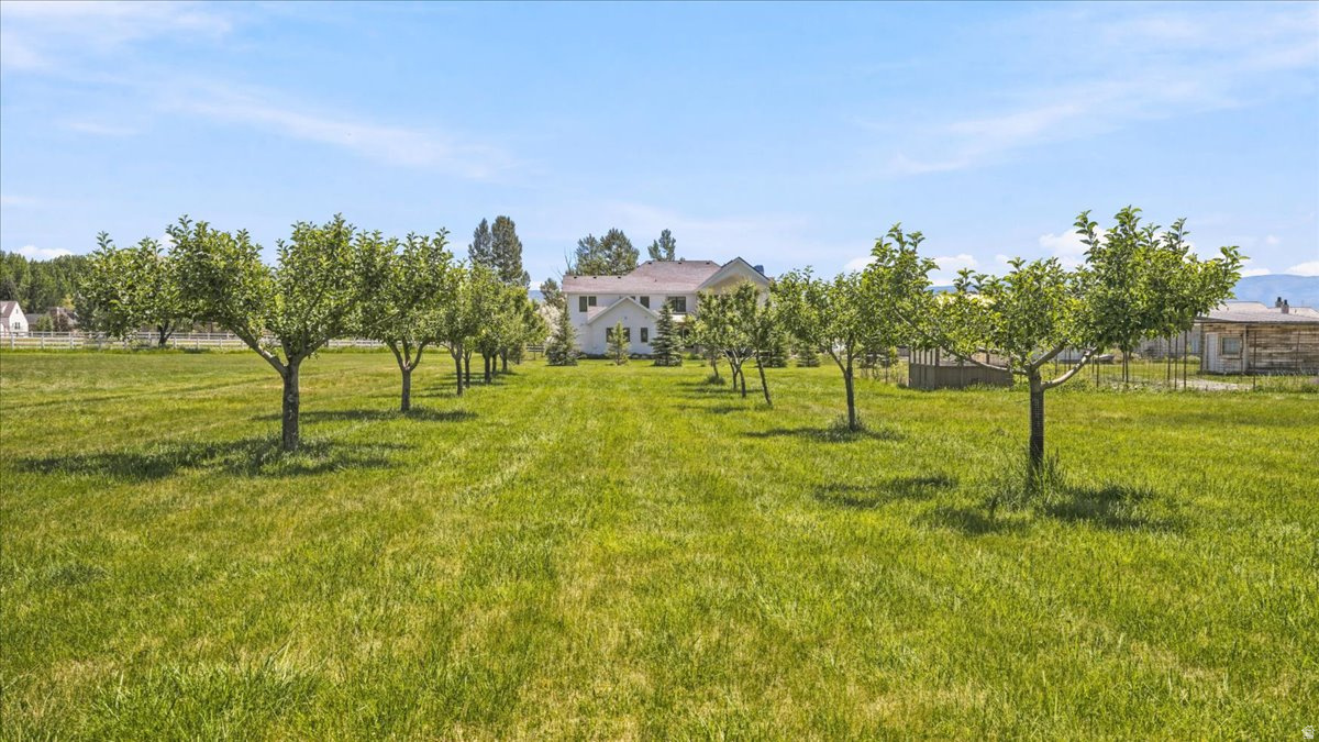 FARM MEADOWS - Land