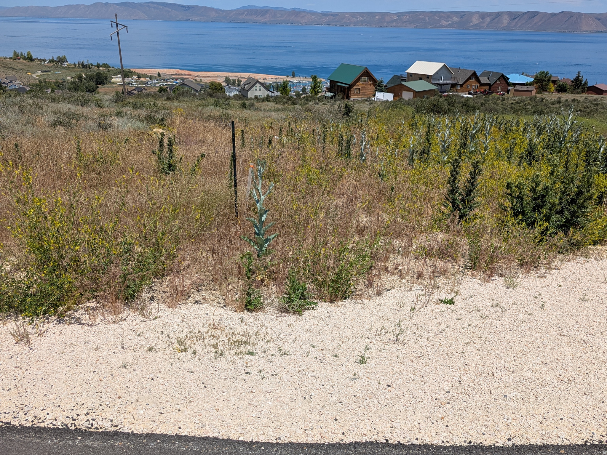 LAKE VIEW AT BEAR LAKE - Land