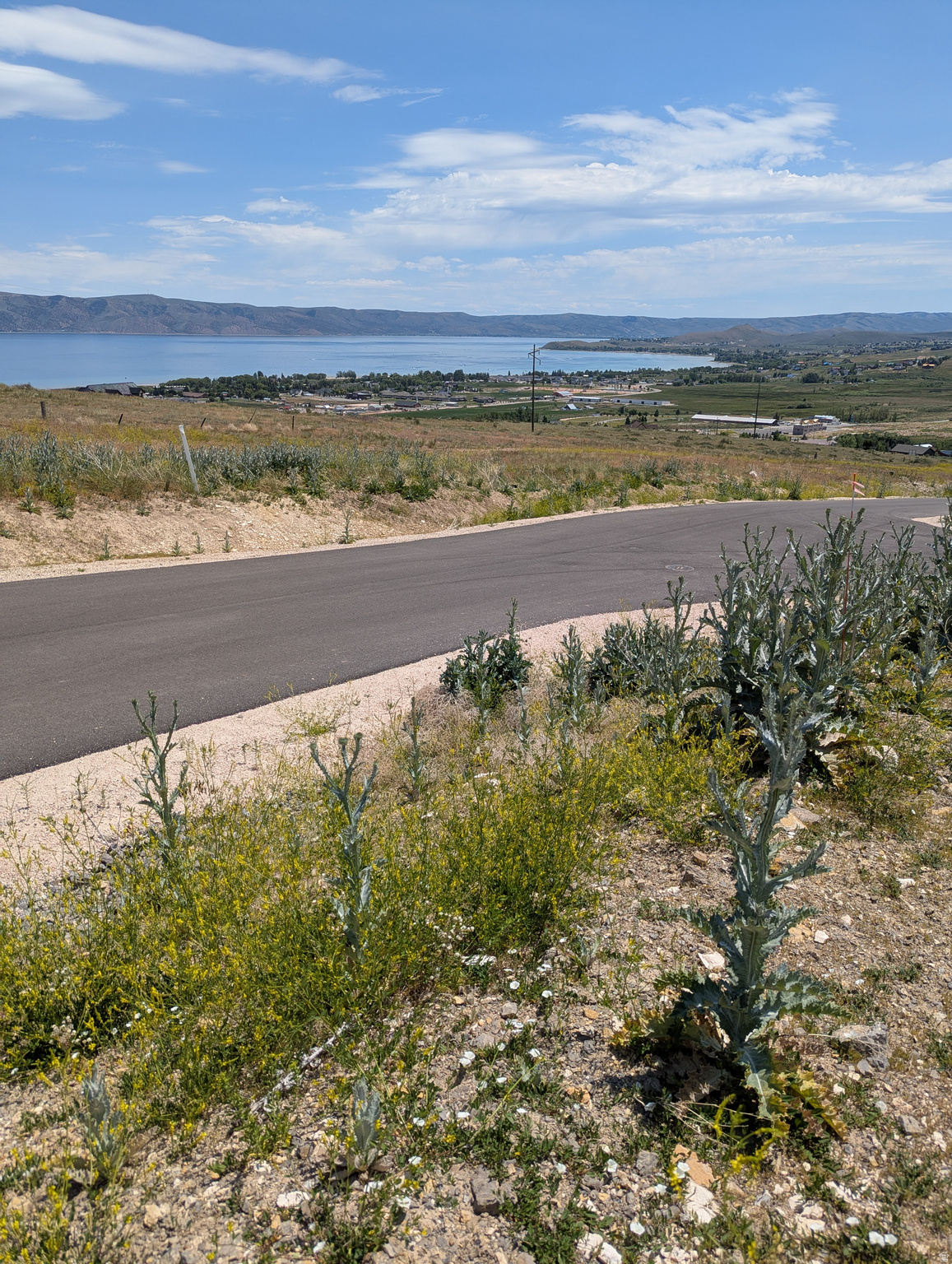 LAKE VIEW AT BEAR LAKE - Land