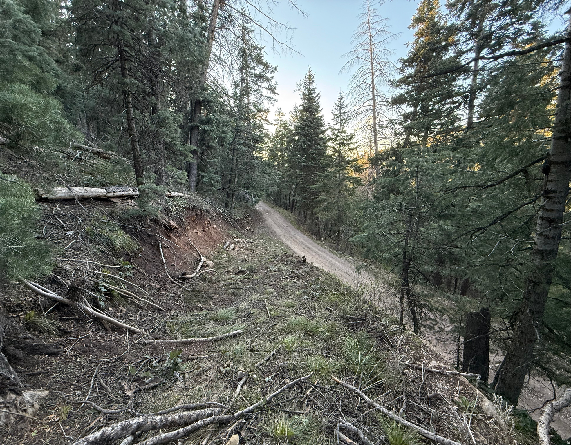 PINE CREEK RANCH - Land