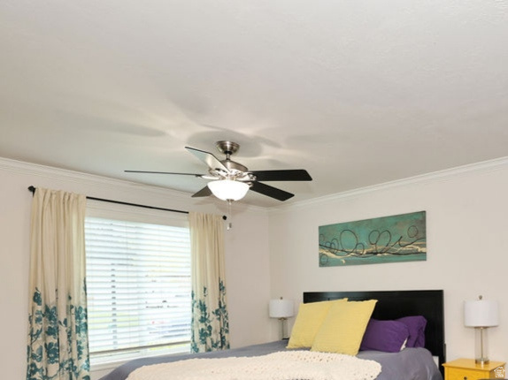 LITTLE WILLOW ESTATES - Residential