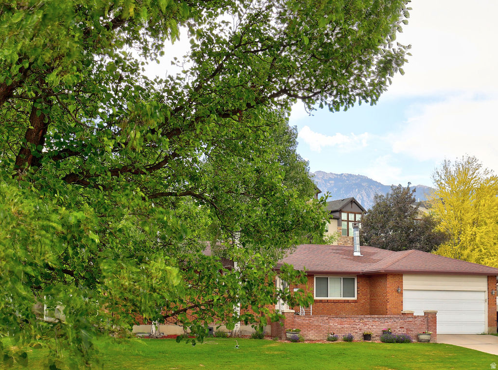 LITTLE WILLOW ESTATES - Residential