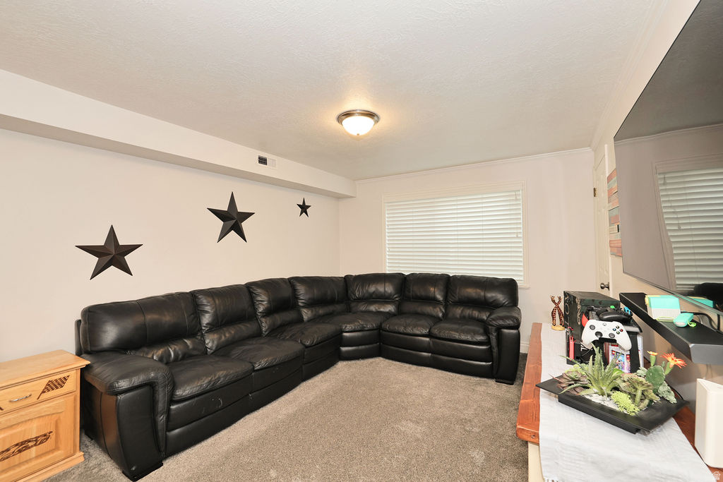 LITTLE WILLOW ESTATES - Residential