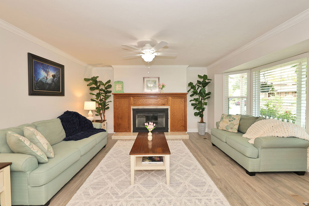 LITTLE WILLOW ESTATES - Residential