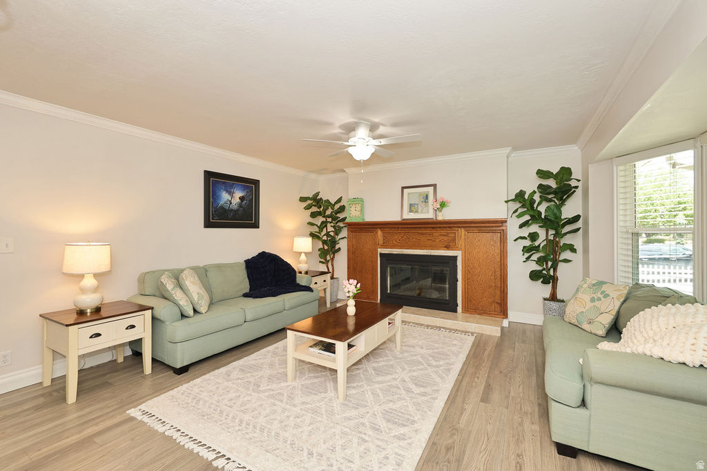 LITTLE WILLOW ESTATES - Residential