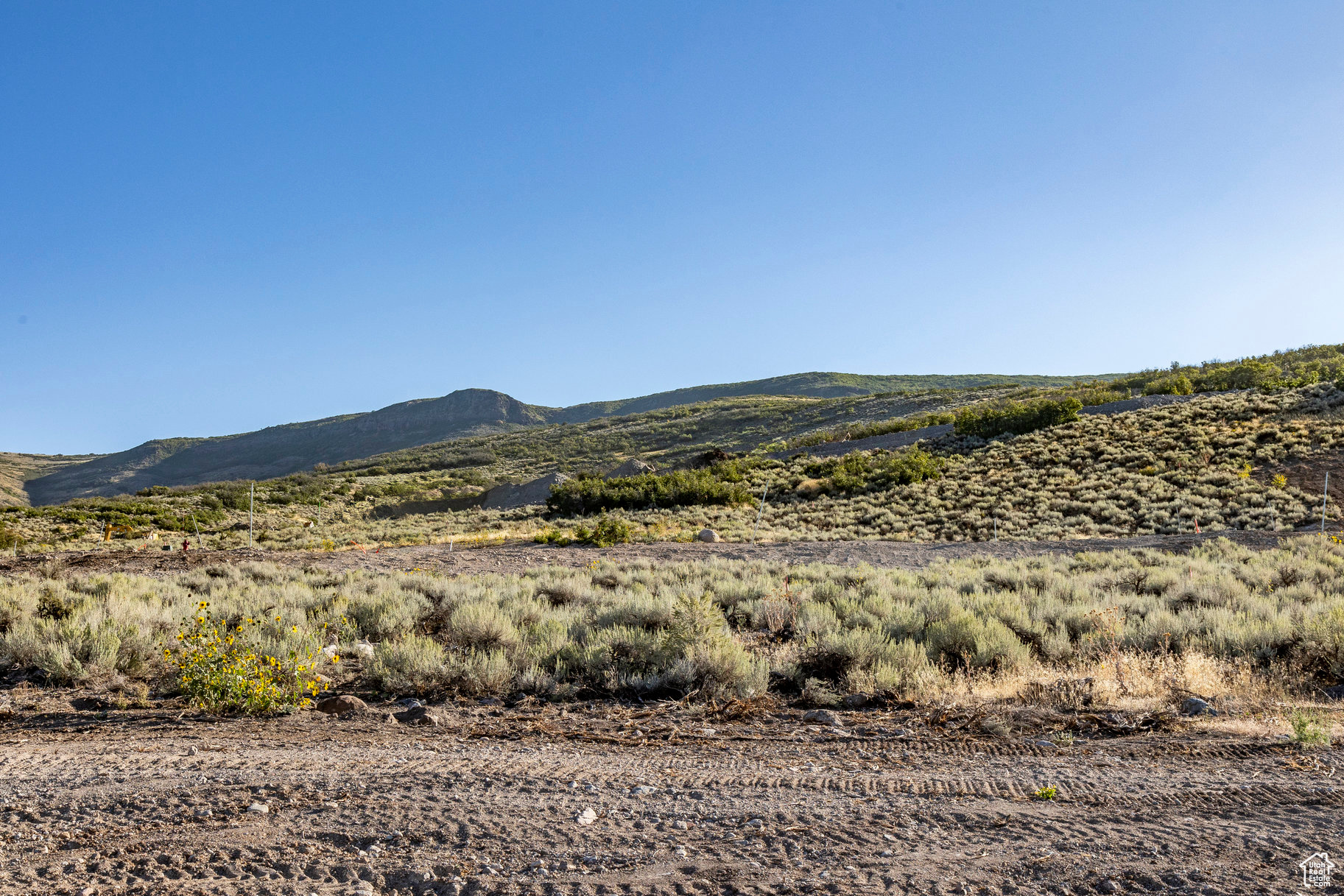 TIMP GROVE / JORDANELLE RIDGE - Residential