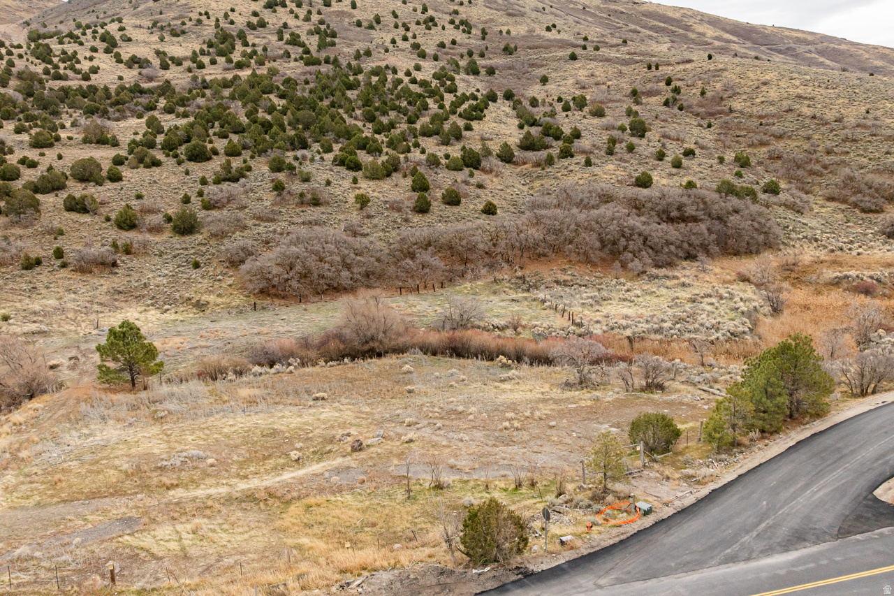 RADIUS CURVE - Land