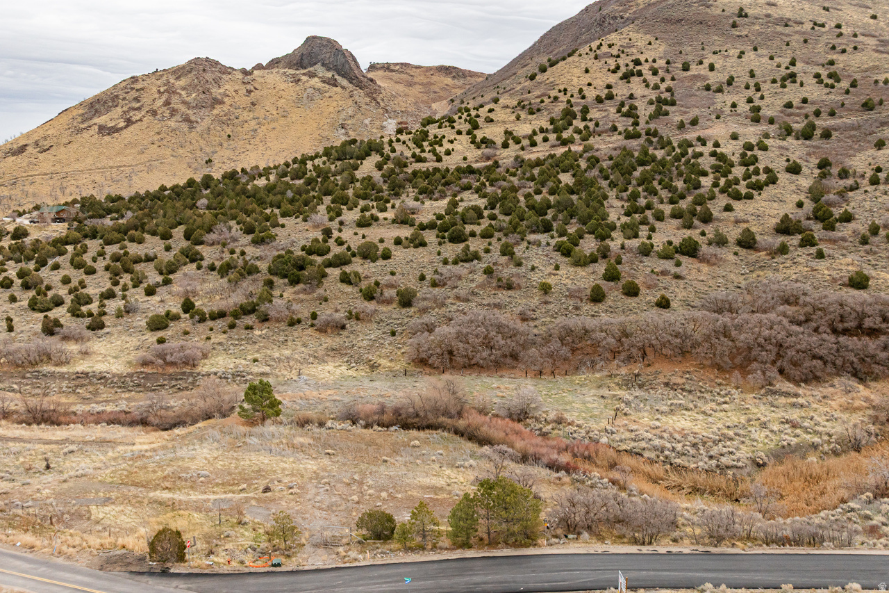 RADIUS CURVE - Land