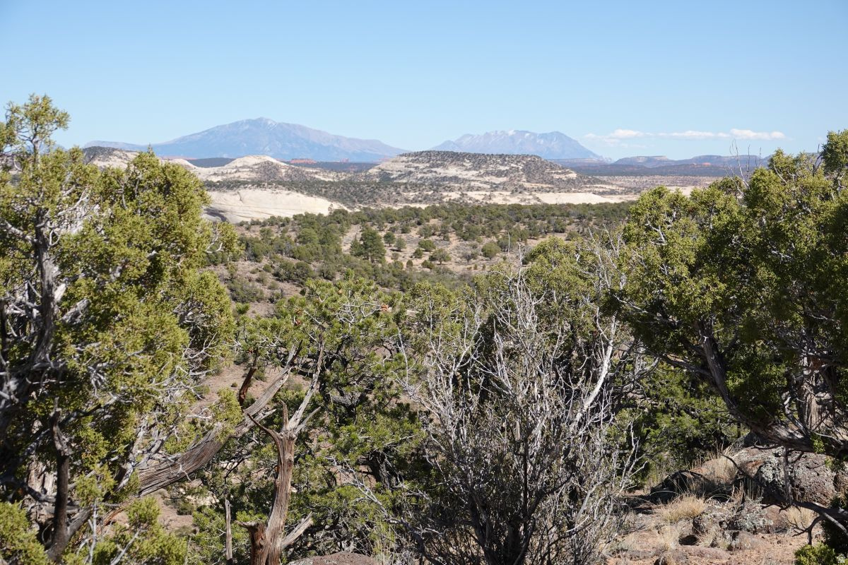 BLACK BOULDER MESA - Land