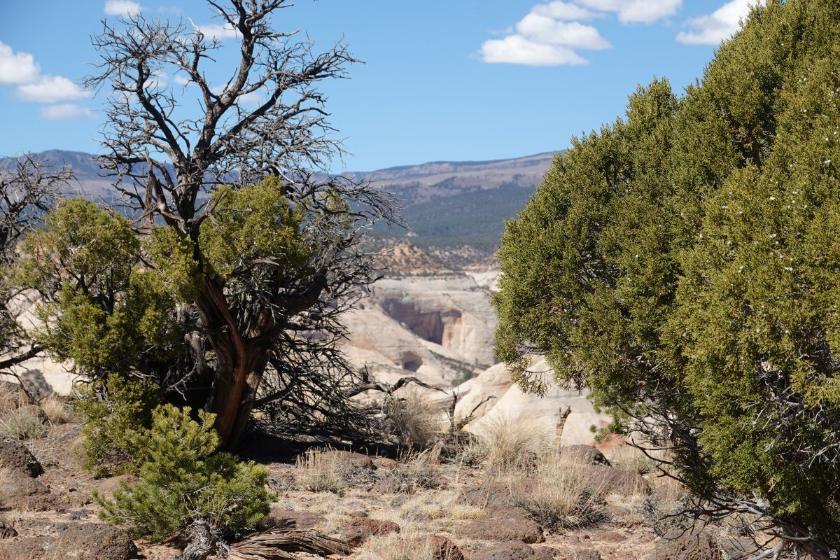 BLACK BOULDER MESA - Land