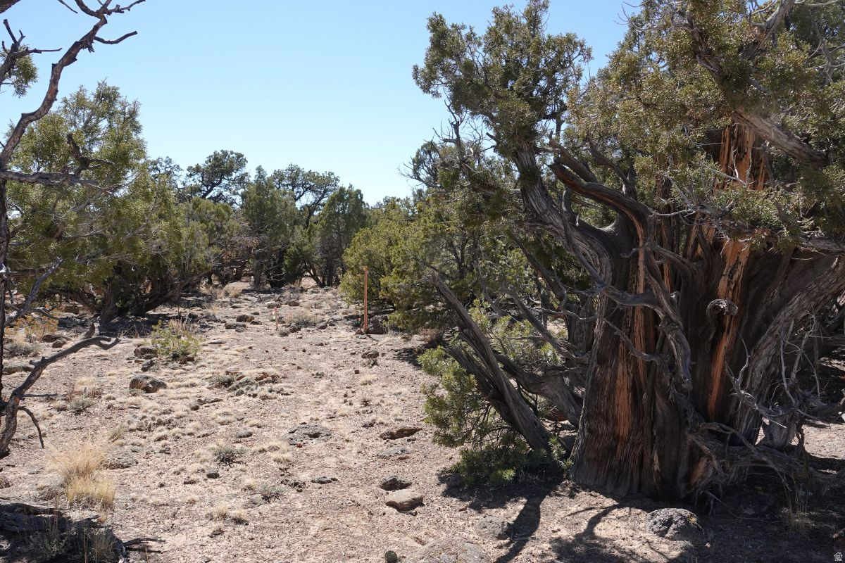 BLACK BOULDER MESA - Land